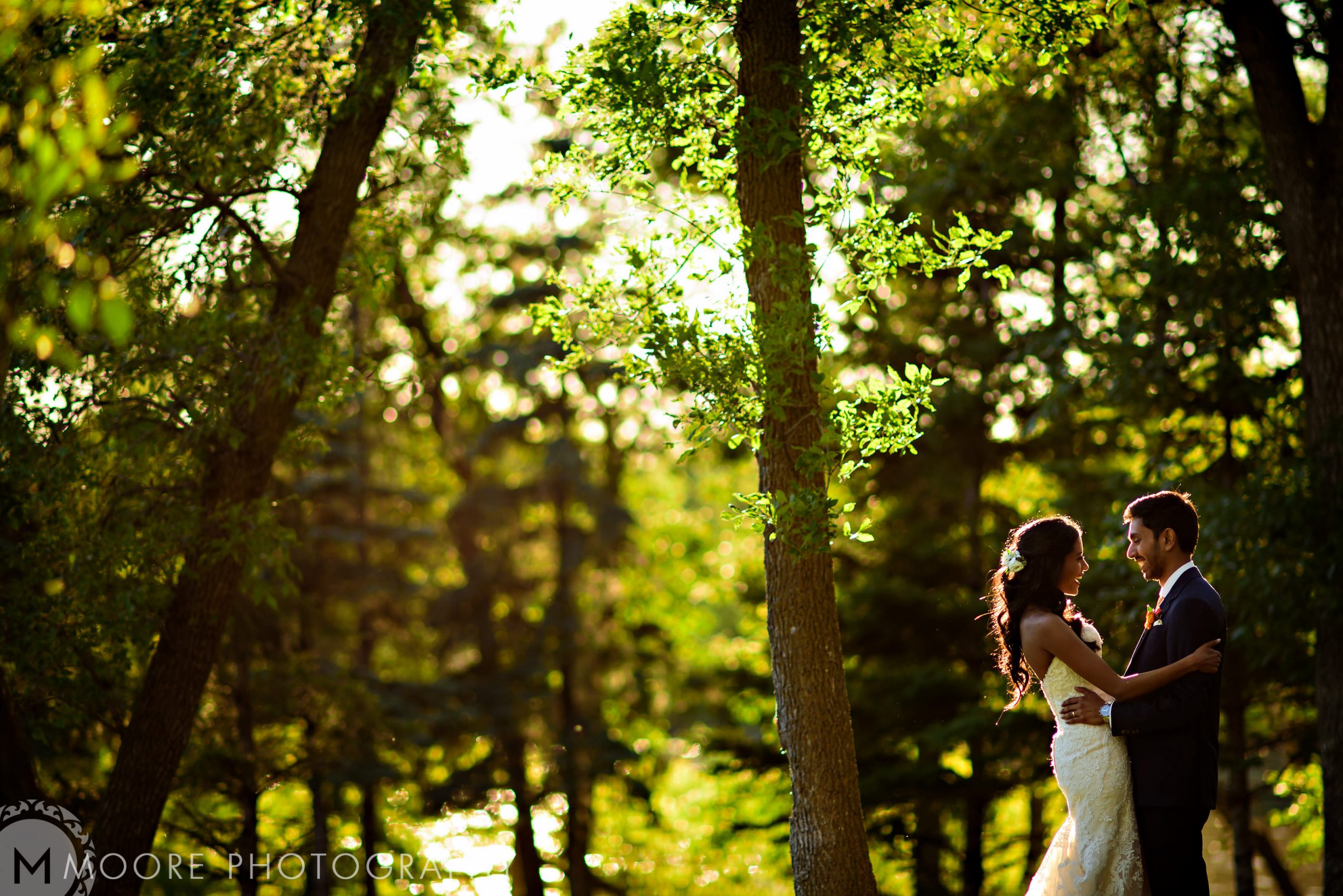 Photograph - Wedding