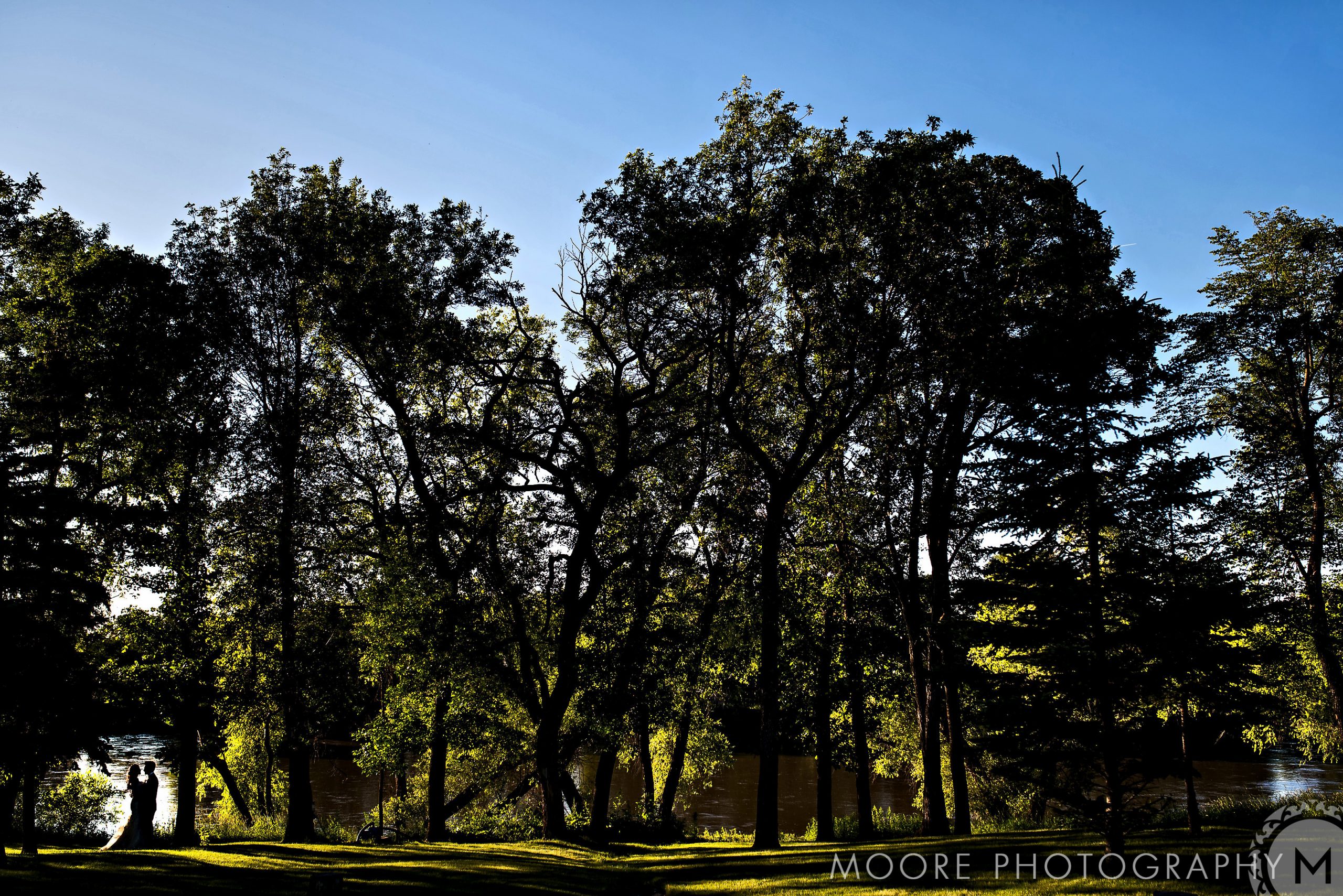 Vegetation - The Gates On Roblin