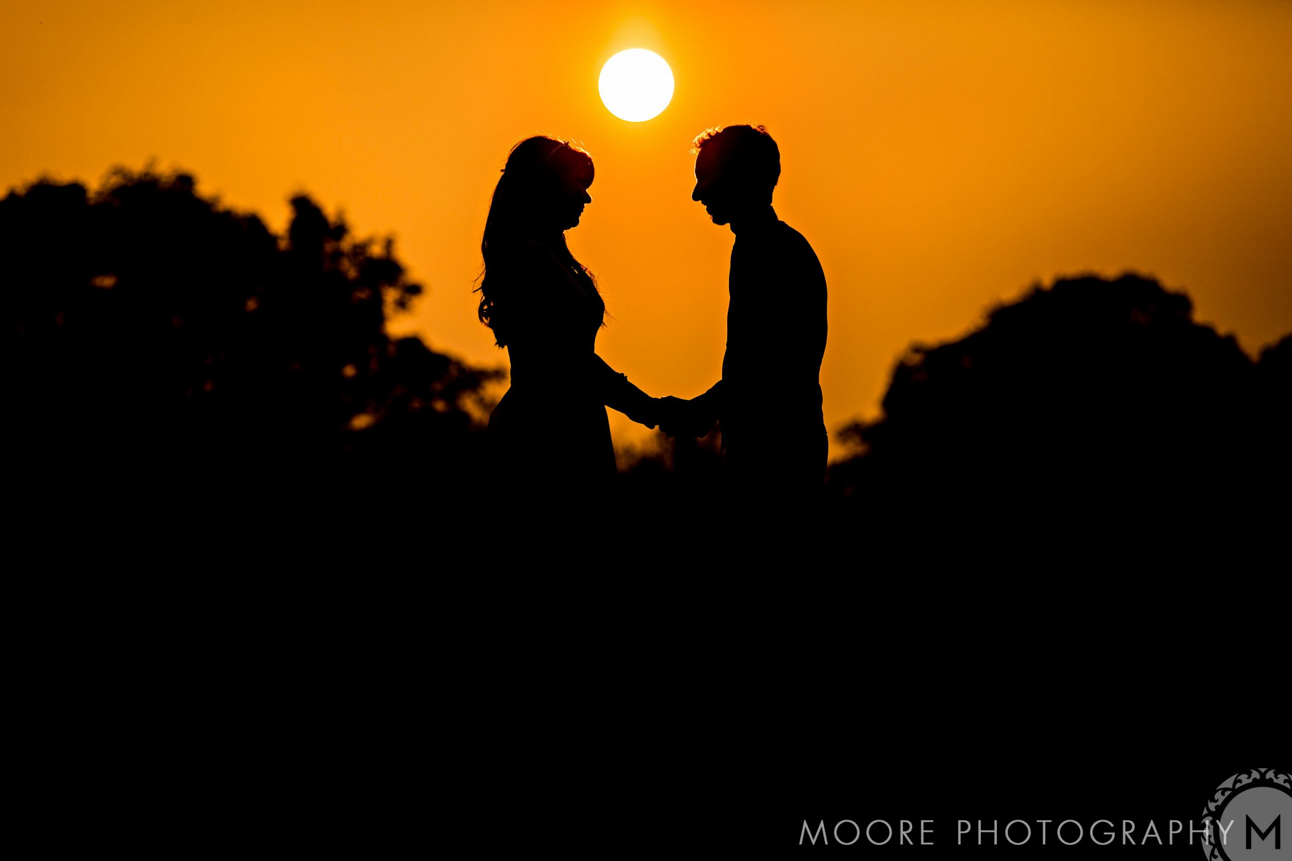 Photograph - Wallpaper