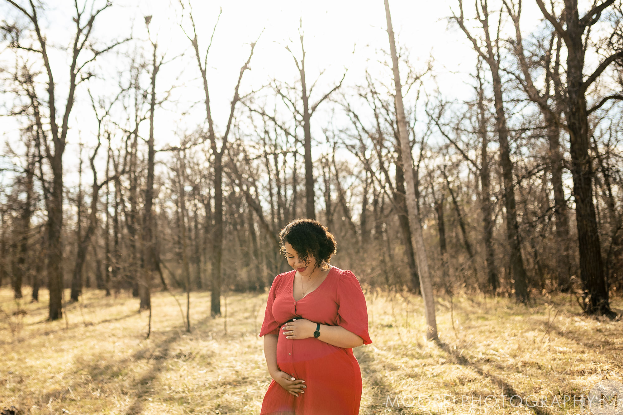 Photograph - Woodland