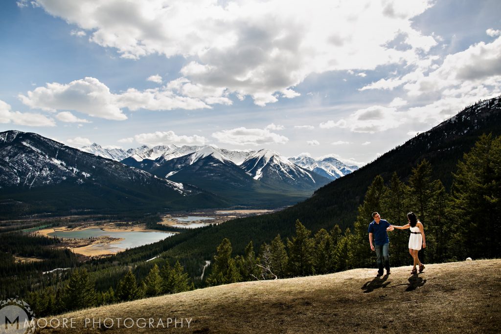 Alps - Mount Scenery