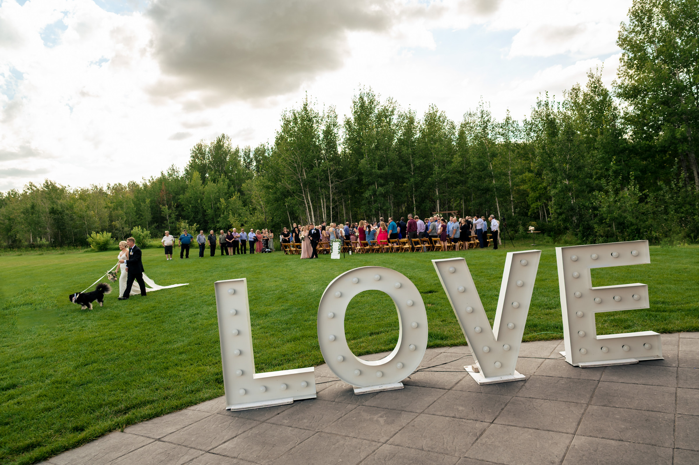 Large "LOVE" sign on grass, wedding guests seated, dog with couple in foreground, trees in background.