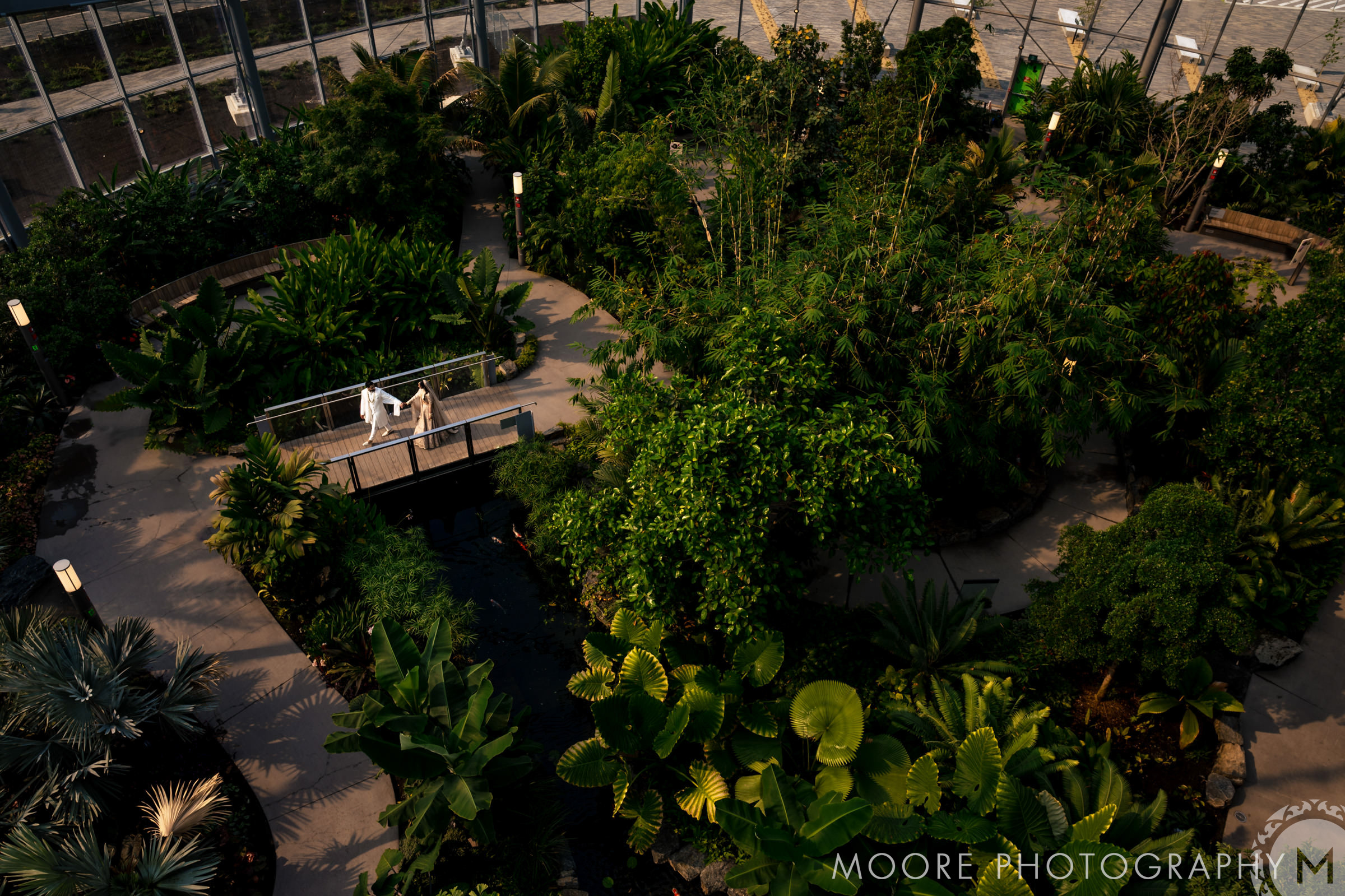 A couple embraces on a bridge in Winnipeg's lush, indoor botanical garden.