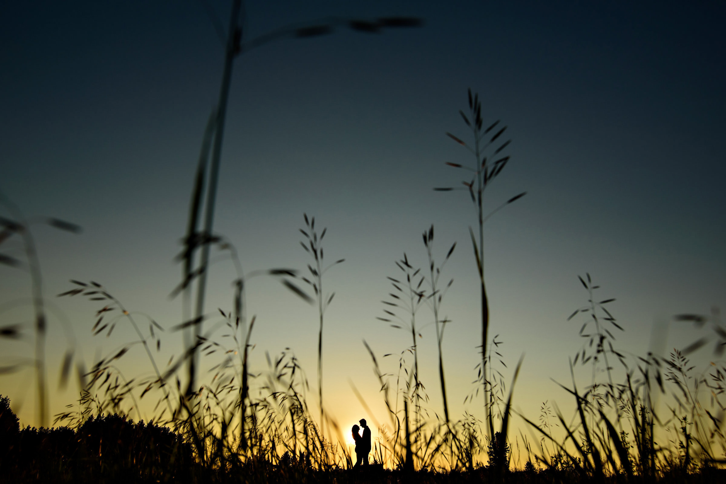A silhouette of an engaged couple at Birdsill park in Manitoba with wheat