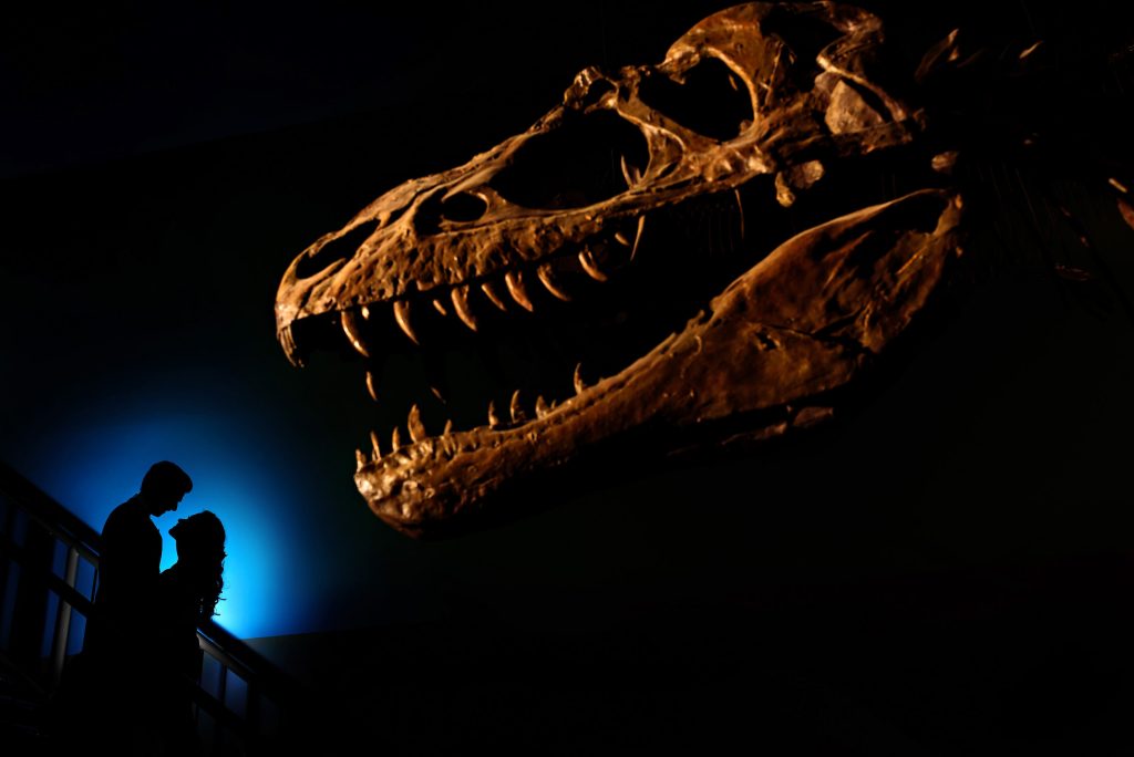 Silhouette of a bride and groom, with a large dinosaur skeleton at the university of Manitoba