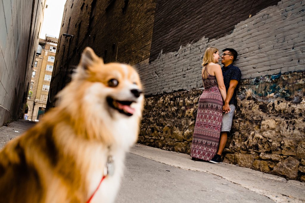an engaged couple with their Pomeranian posing for photos in the alley way in the winnipeg exchange district