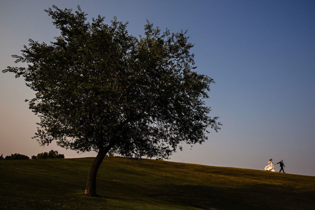a bride and groom holding hands and walking down a hill with a big tree in the foreground during sunset in Winnipeg Manitoba