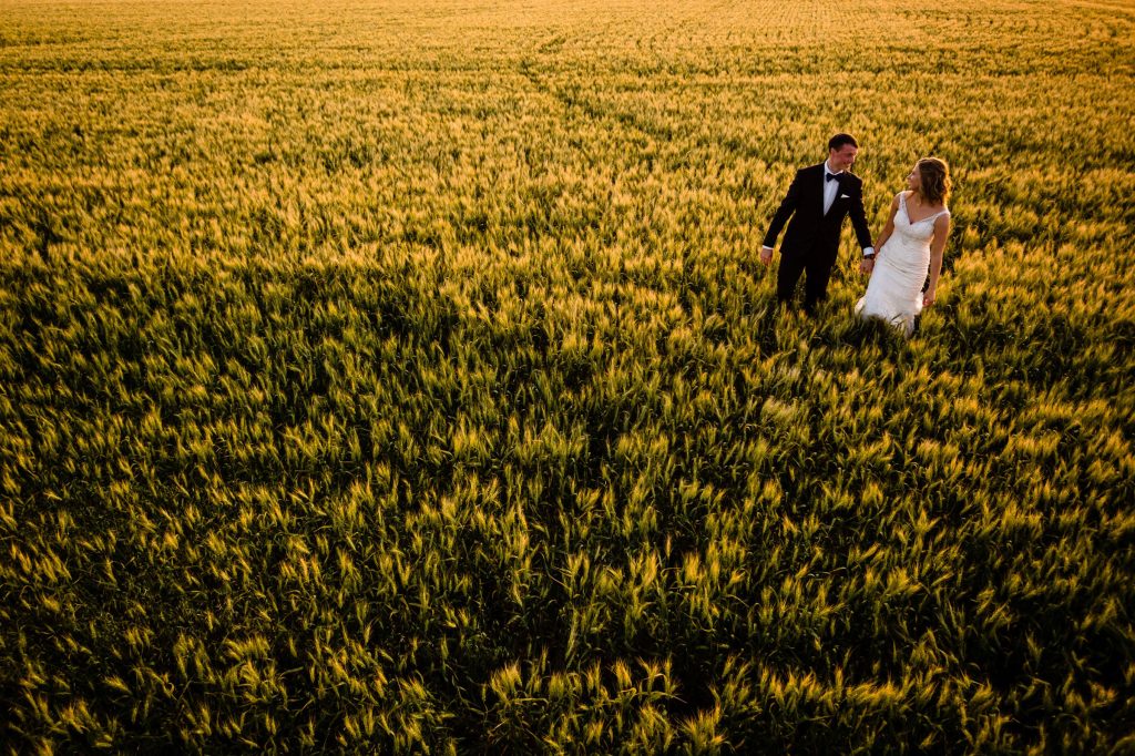 Bride and Groom walking through a yellow field during sunset holding hands in Manitoba