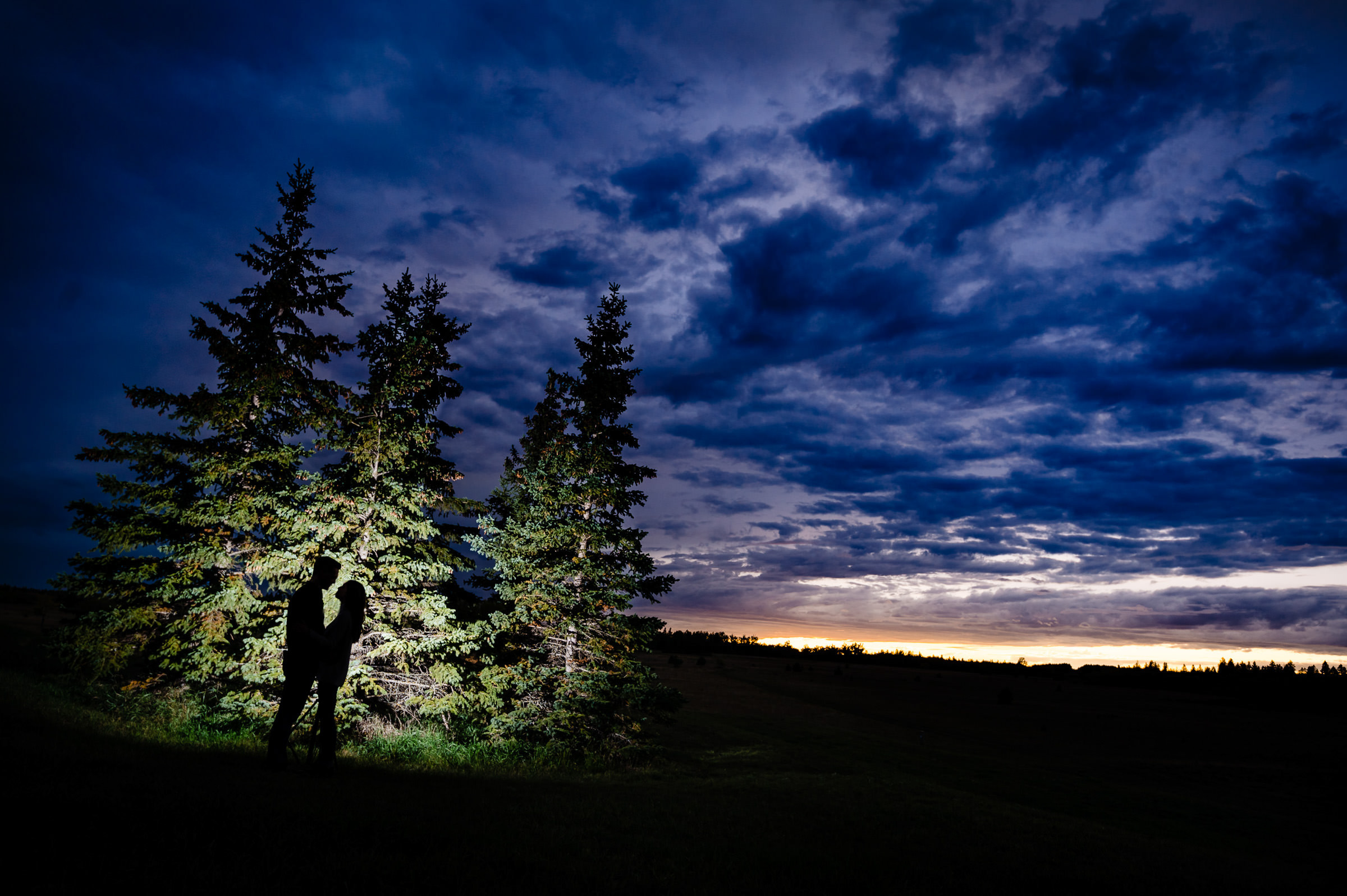 A silhouette of an engaged couple with trees and sky in the background birds, hill, park, Manitoba