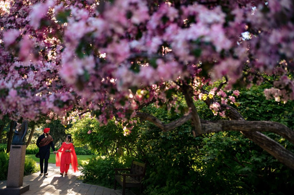 An Indian couple, walking and smiling at each other during an engagement session in the English garden in Winnipeg