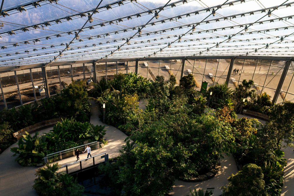 An engaged couple walking through the leaf biodome in a assiniboine park