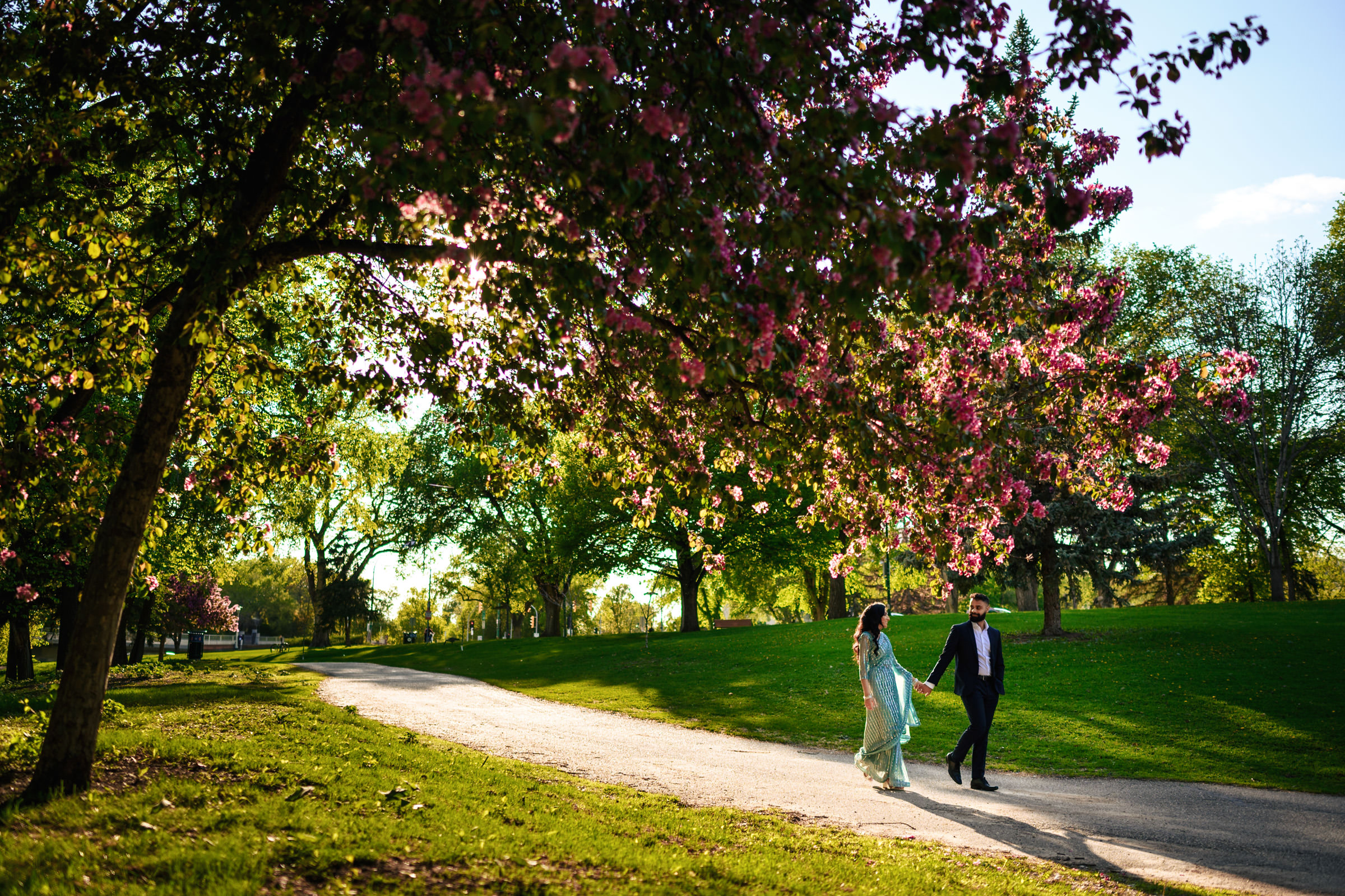 A man and woman walk hand in hand along a winding path in a park, capturing the essence of an Indian engagement shoot. The trees lining the path are in full bloom with vibrant pink flowers. Sunlight filters through the leaves, creating a warm and romantic atmosphere.