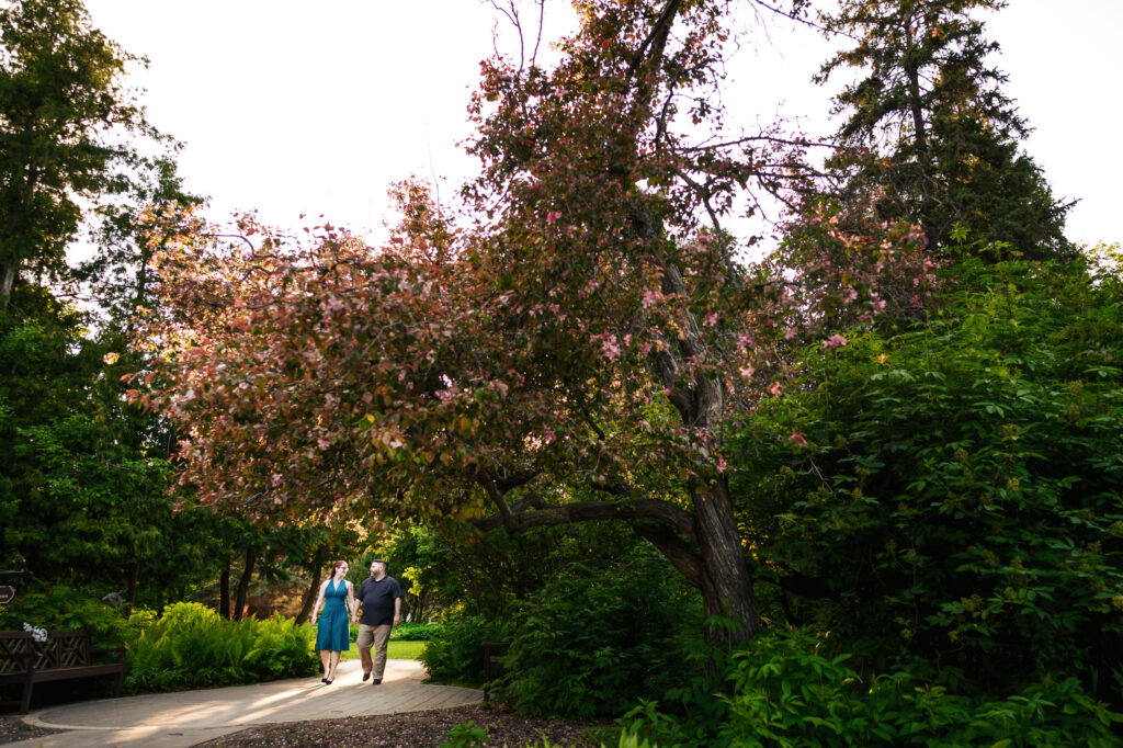 A couple walks hand-in-hand on a paved path under a blooming tree in a lush, green park. The woman wears a blue dress, and the man wears a gray shirt and shorts. Sunlight filters through the leaves, creating a serene, romantic atmosphere.