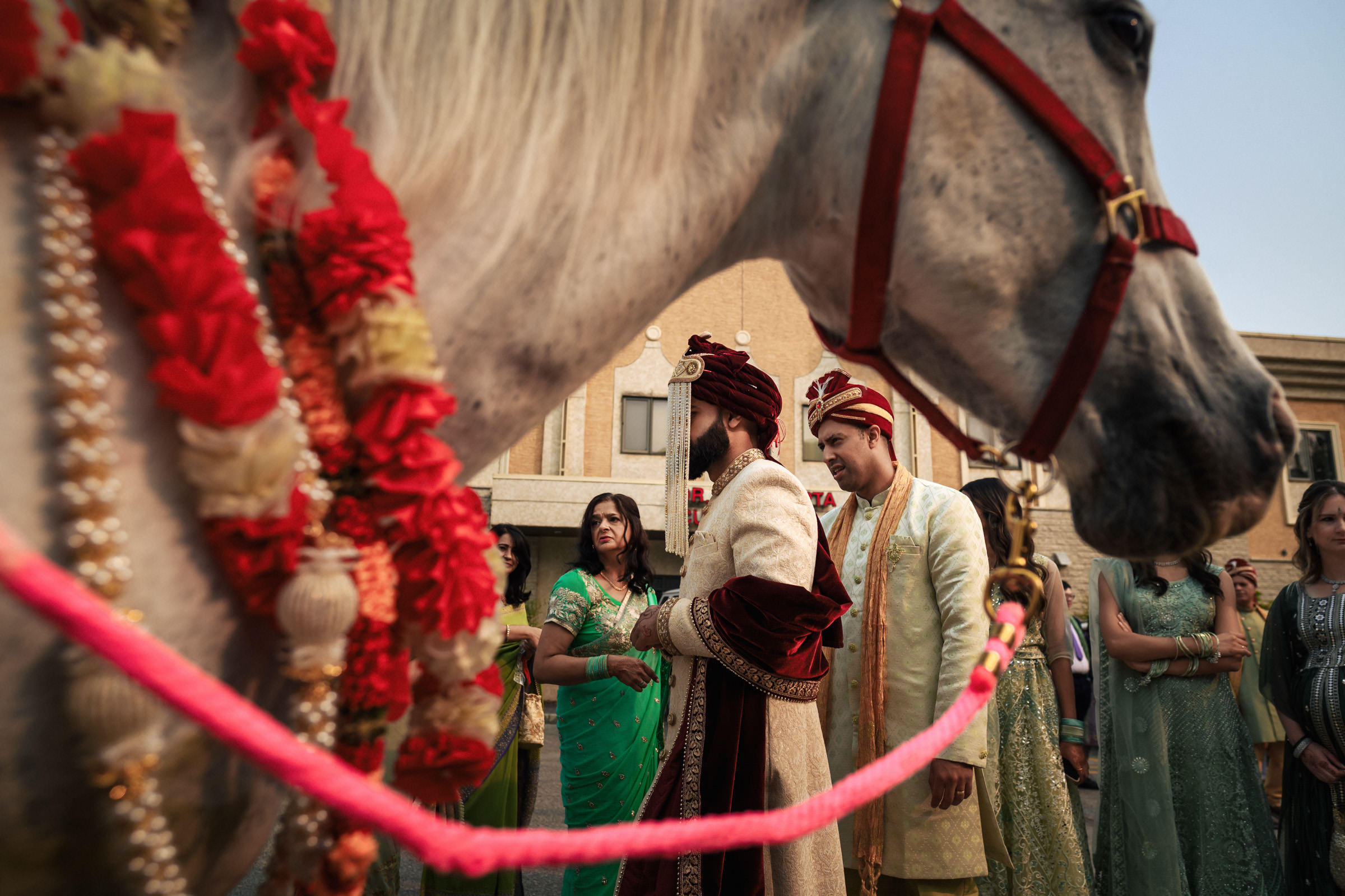 A groom dressed in traditional Indian wedding attire stands beside a white horse adorned with red and gold decorations. Several guests in vibrant traditional clothing surround him, including a man in a green sherwani and a woman in a green saree.