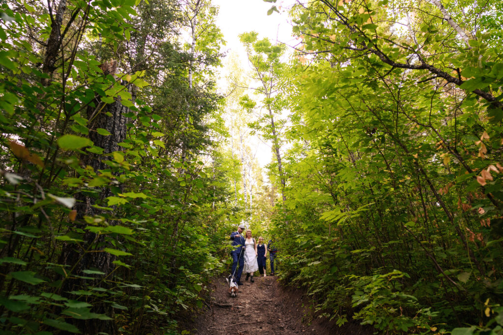 A group of people walking along a path surrounded by lush green trees in a forest. They are descending a slightly uneven trail. A small dog is with them, and sunlight filters through the leaves, creating a serene atmosphere.