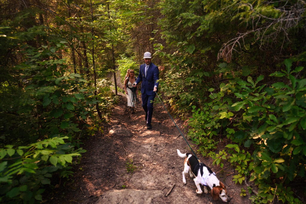 A couple in formal attire, the man in a suit and the woman in a dress, walk through a lush forest trail with a beagle on a leash.