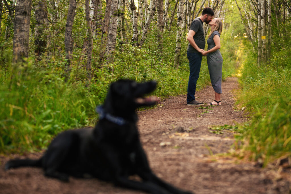 A black dog lies on a forest path, blurred in the foreground. In the background, a couple stands on the path surrounded by green trees, holding hands and leaning in for a kiss.