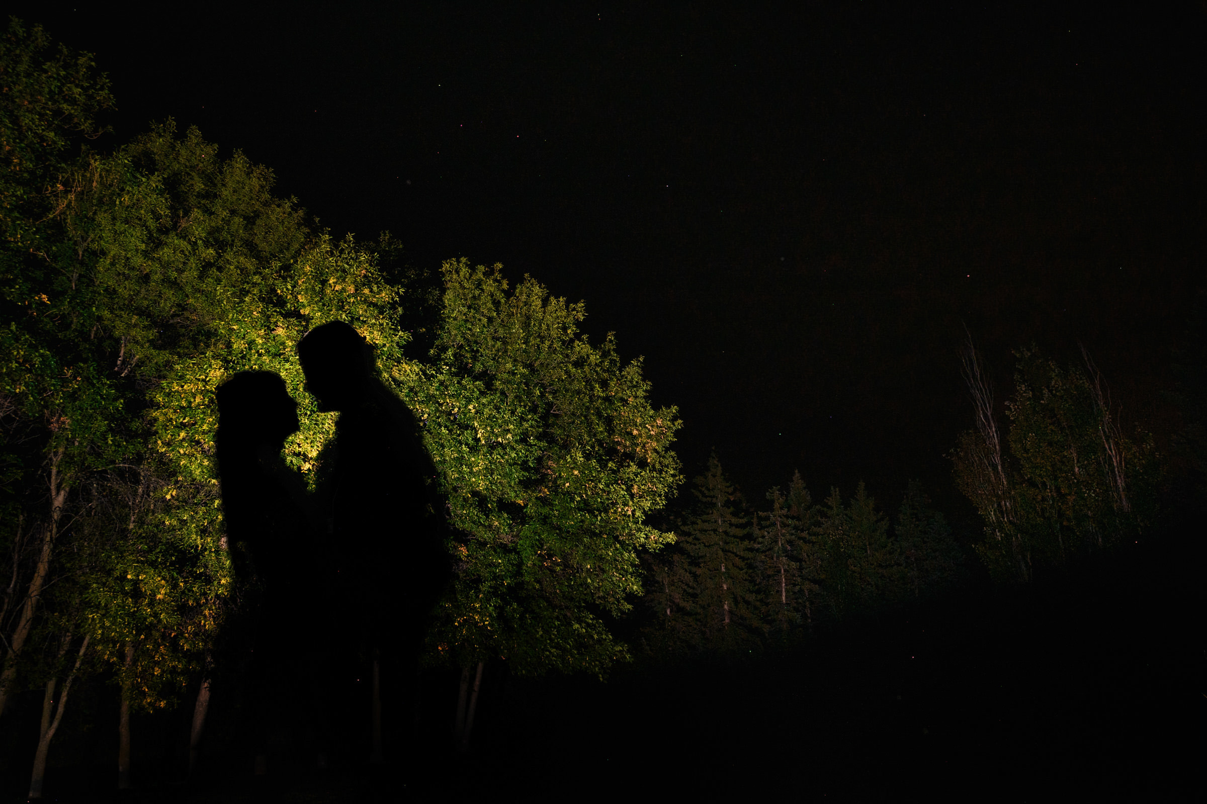 Silhouette of a couple embracing under Winnipeg's stars and illuminated trees.