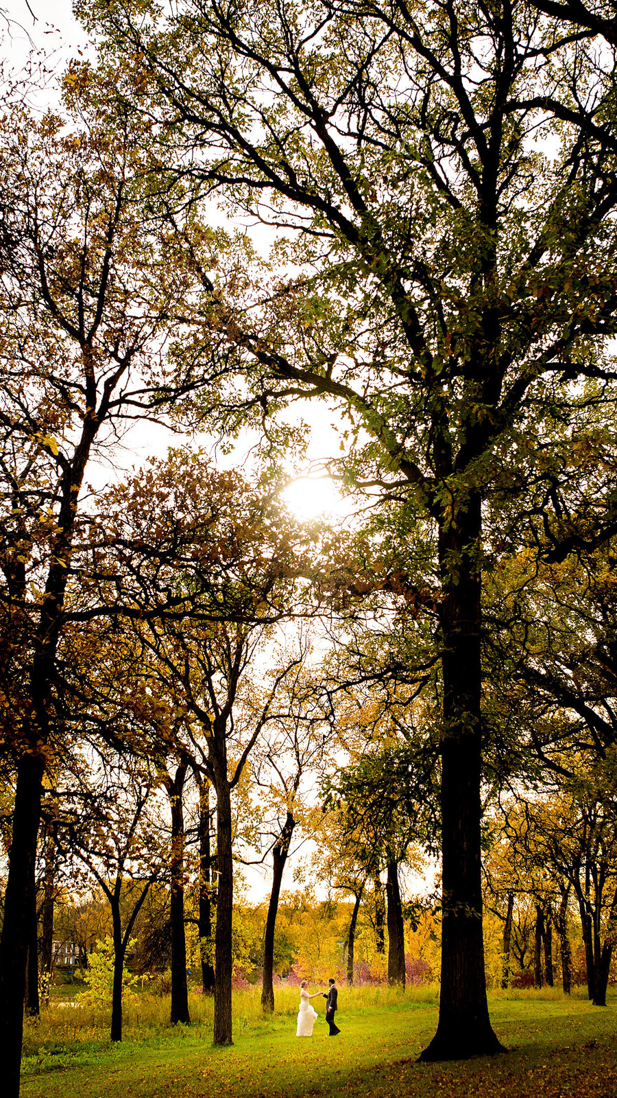A couple walks hand in hand through a sunlit forest in autumn, captured beautifully by a Winnipeg wedding photographer. Tall trees with sparse leaves surround them, and the ground is covered in fallen leaves. The sun shines through the branches, creating a warm, serene atmosphere.