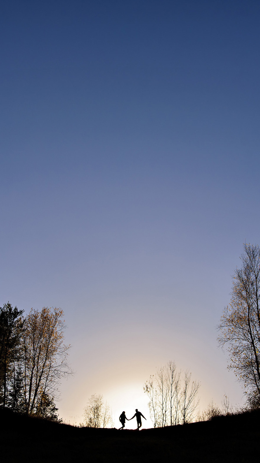 Two silhouetted people on a hilltop hold hands against a bright sunset, framed by bare trees under a clear blue sky. Captured with the artistry of a Winnipeg wedding photographer, this enchanting moment captures love in its purest form.