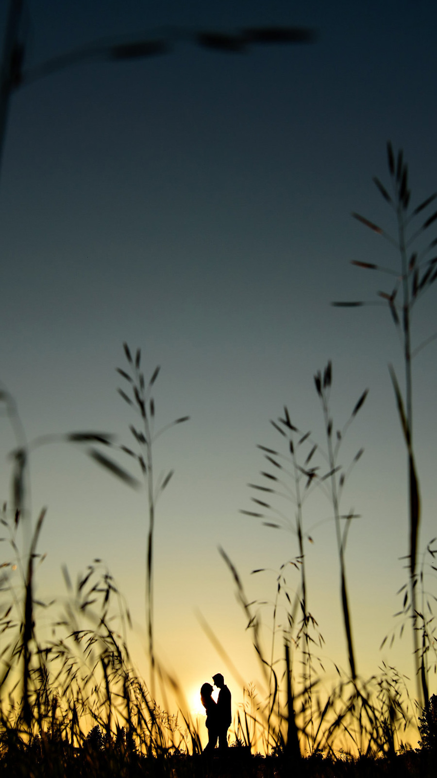 Silhouette of a couple embracing in a field at sunset, captured by a Winnipeg wedding photographer. Tall grasses frame the image against a gradient sky transitioning from blue to orange, creating a romantic and peaceful atmosphere.