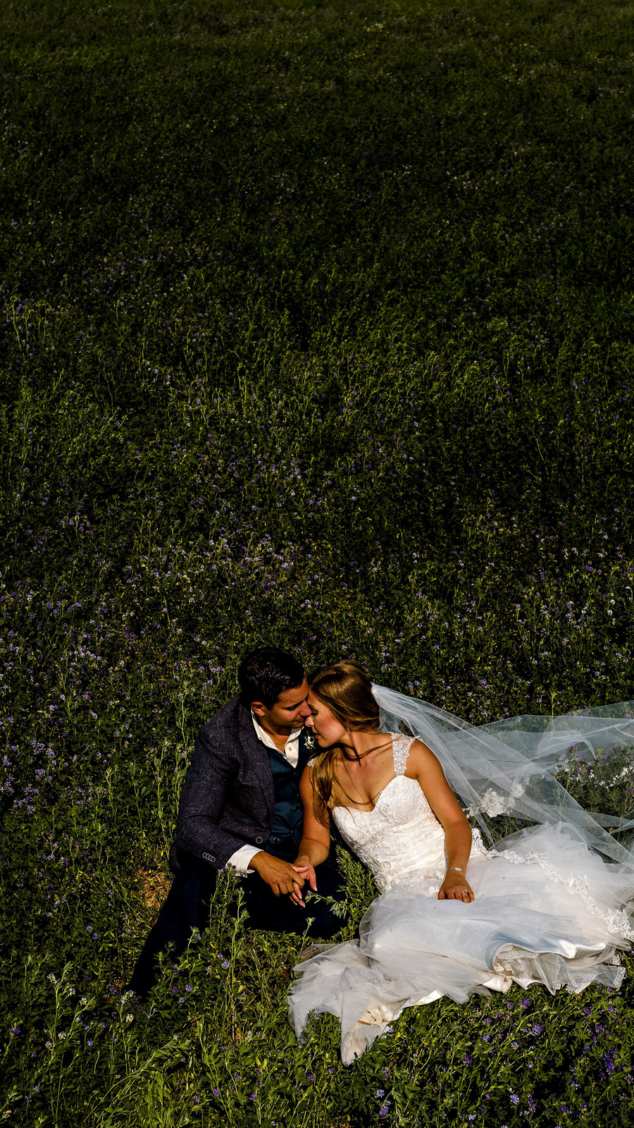 A bride in a white dress and veil sits on a grassy field, holding hands with a groom in a dark suit. As they lean in for a kiss, surrounded by greenery and small purple flowers, the scene captures the romantic serenity that any Winnipeg Wedding Photographer would dream of immortalizing.