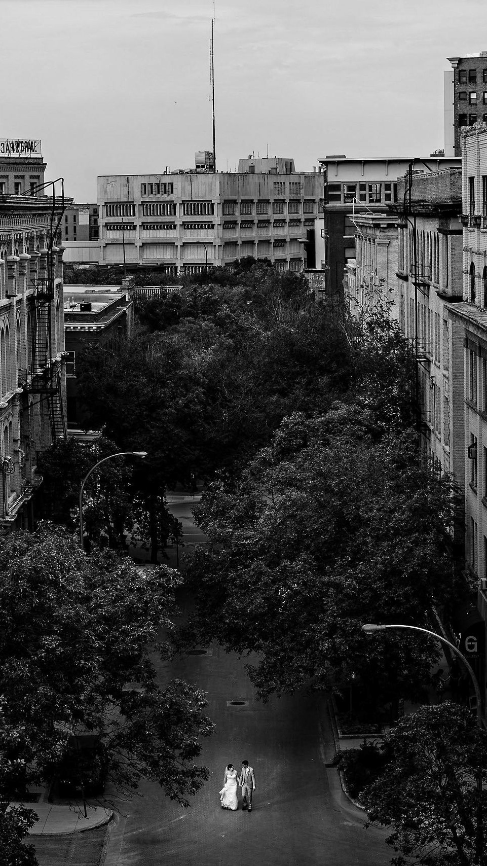 A bride and groom walk down an empty, tree-lined urban street in Winnipeg, surrounded by tall buildings. Captured in black and white by a talented wedding photographer, the cityscape forms a stunning backdrop to their intimate moment.