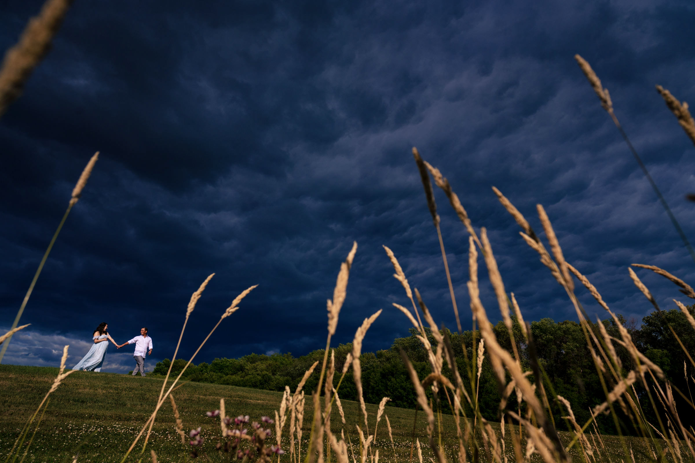 A couple holds hands and walks across a grassy field under a dramatic, dark cloudy sky. Tall grasses sway in the foreground, a line of trees standing sentinel behind. This evocative scene could easily become one of their favorite wedding photos, capturing the essence of impending weather.