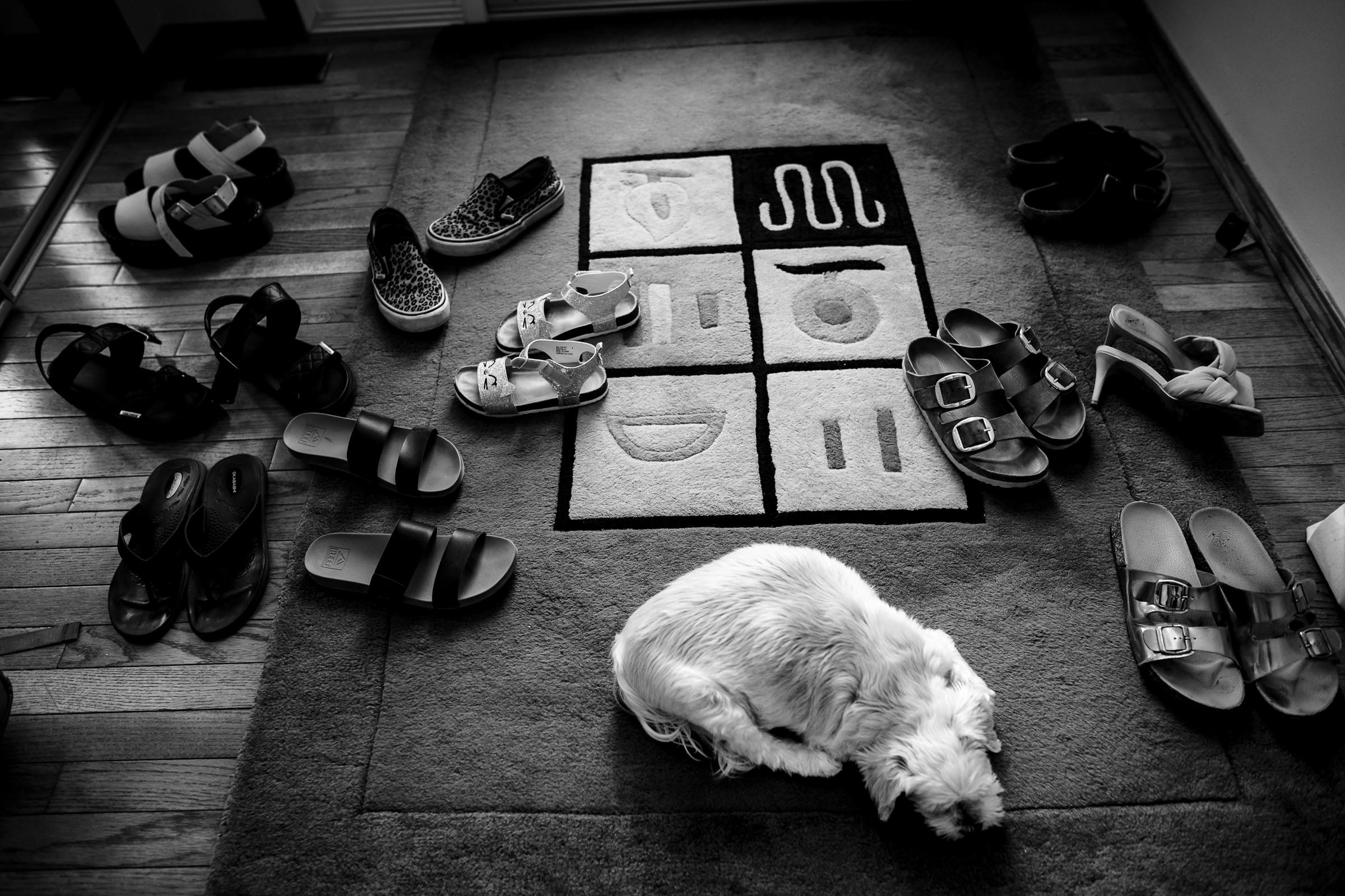 A small dog lies curled up on a rug with abstract shapes, reminiscent of favourite wedding photos in its timeless elegance. The rug is surrounded by sandals and sneakers on a wooden floor, composing a serene black and white scene.