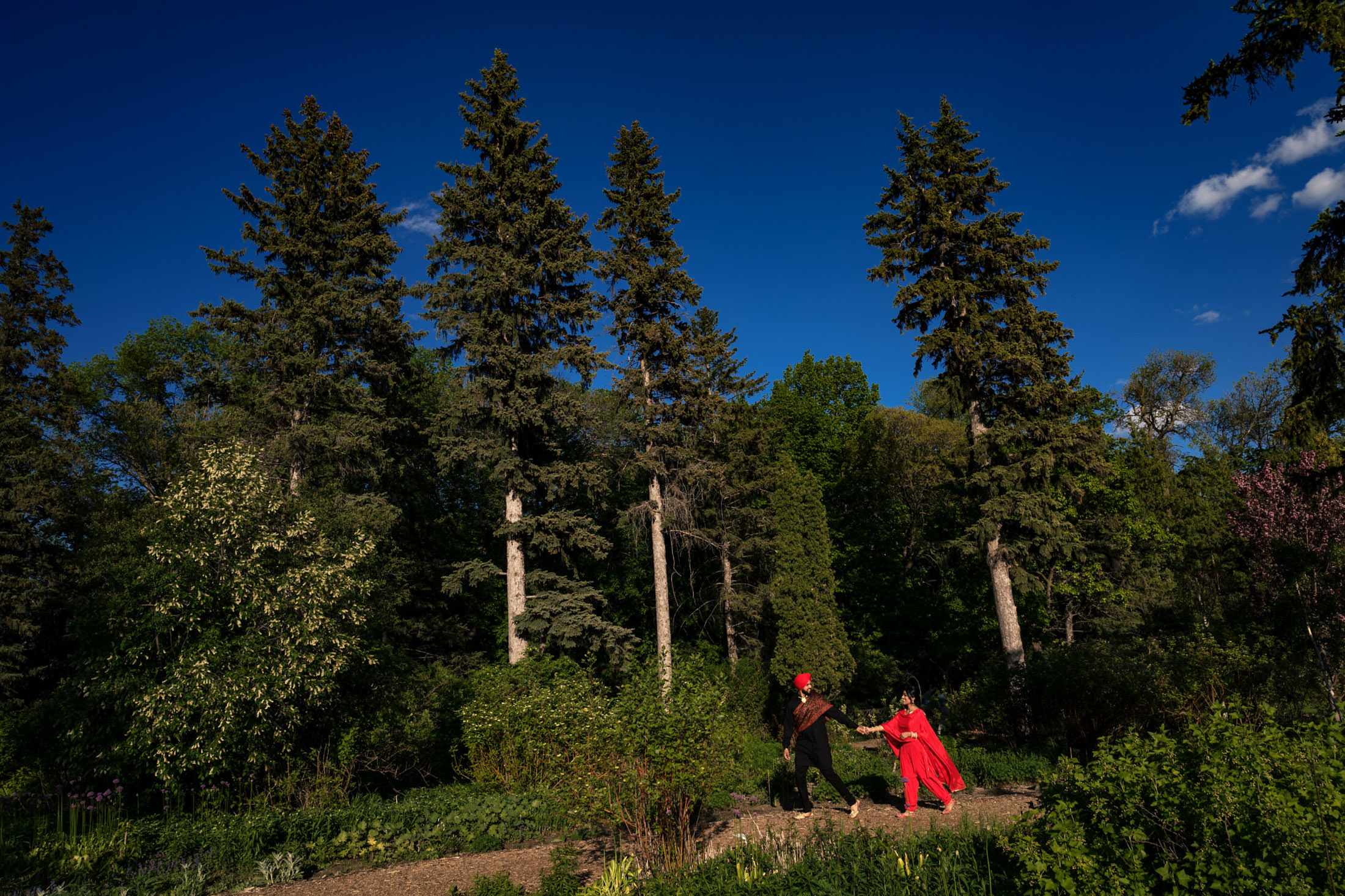 Two people dancing in a garden with tall pine trees under a clear blue sky.