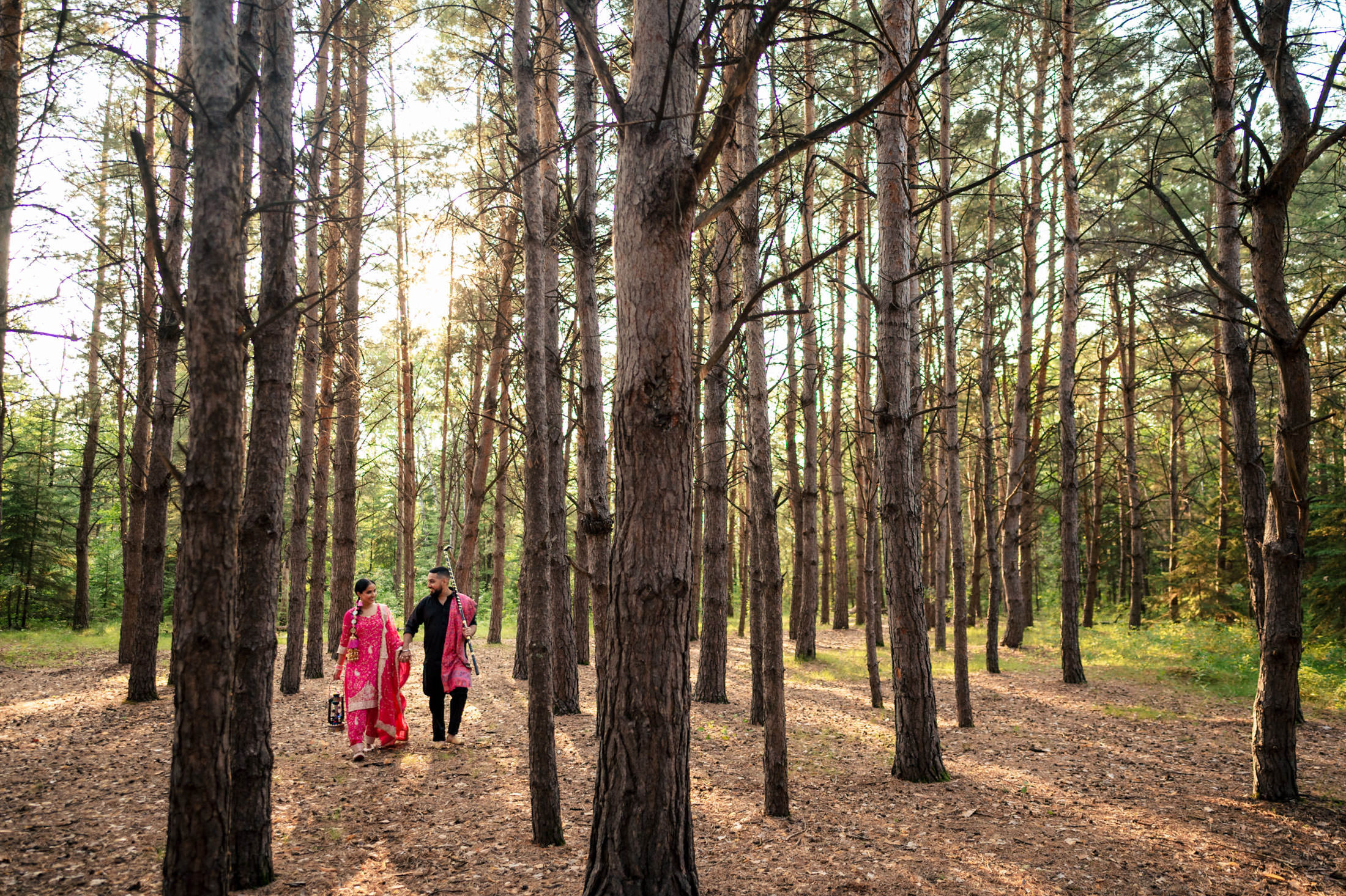 Couple walking together in a sunlit forest with tall trees.