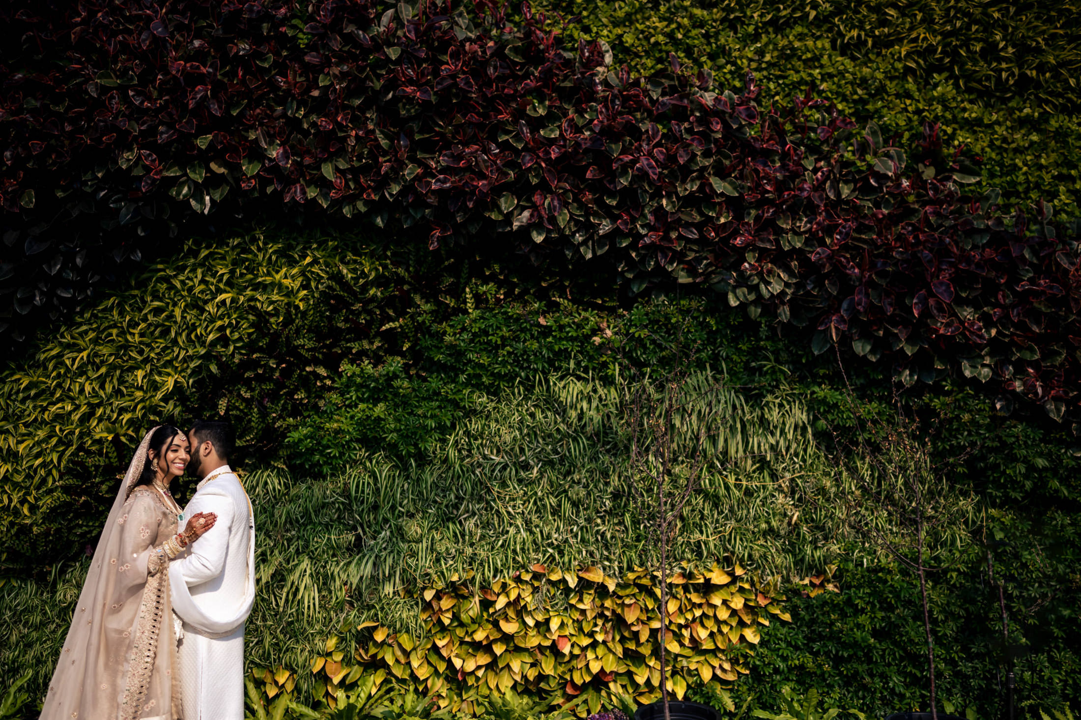 Couple in wedding attire standing before a vibrant green and red vertical garden wall.