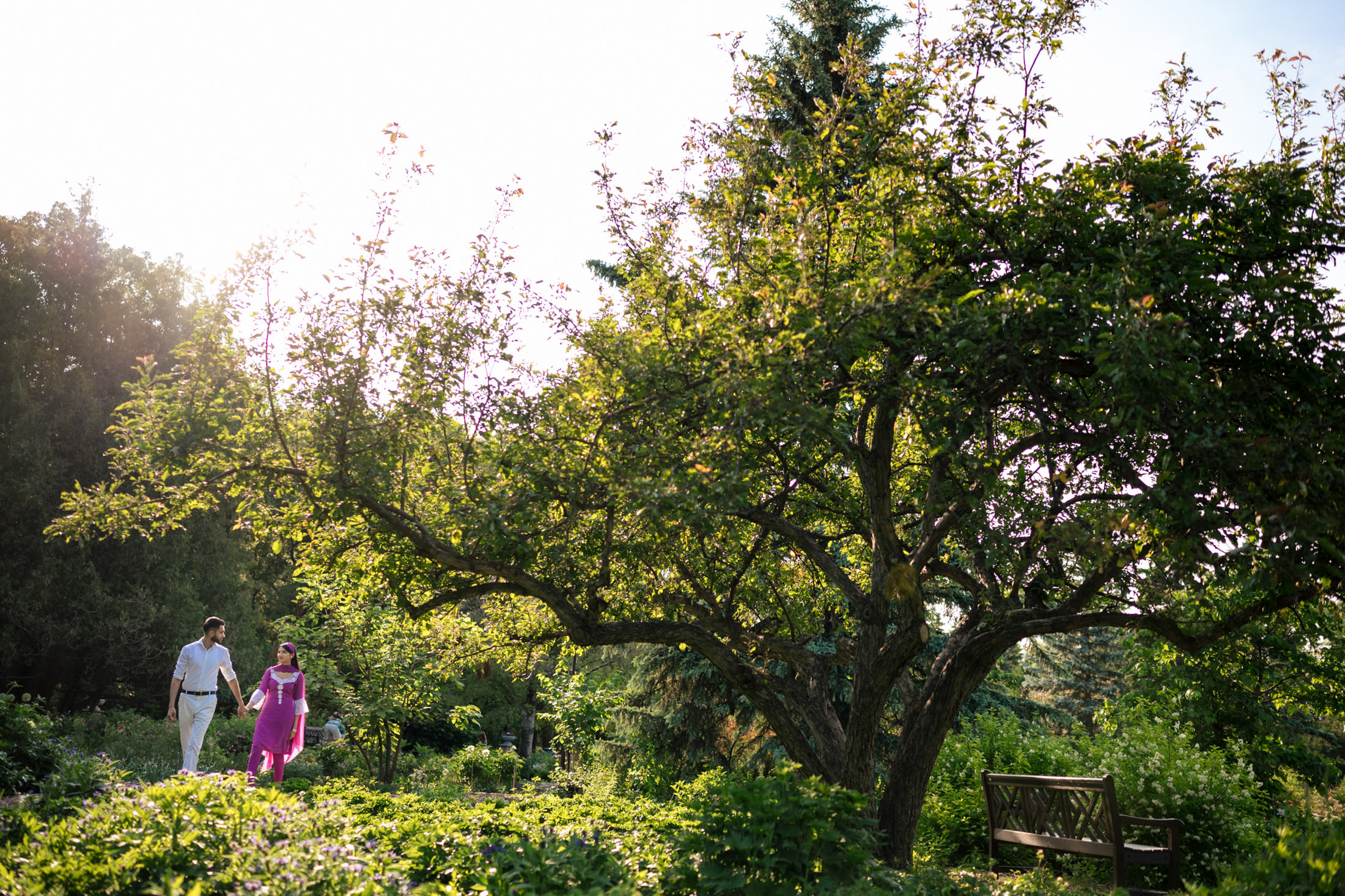An engaged couple strolls under a large tree in their sunny garden.