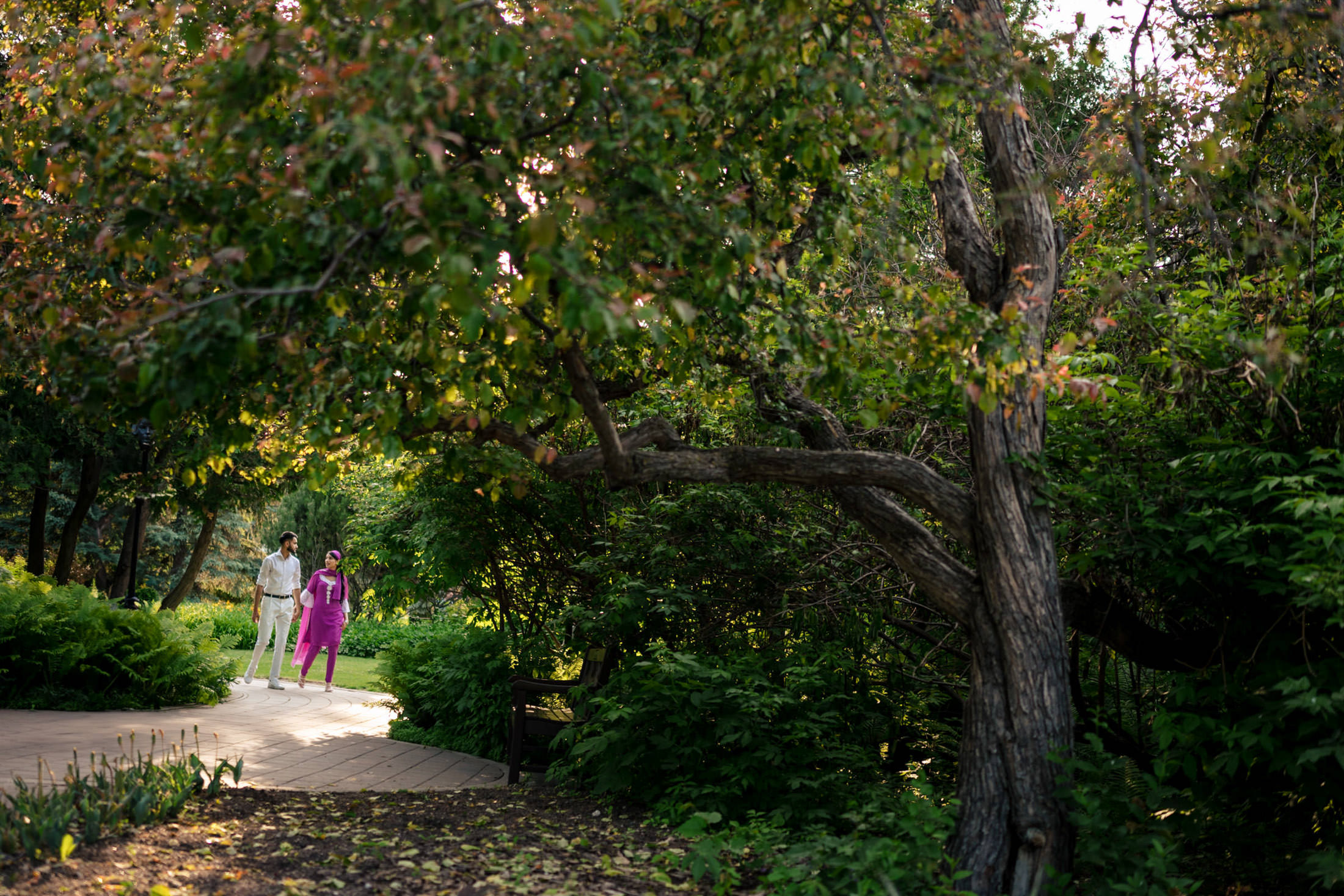 Two people strolling under a tree in a lush park, discussing their engagement at home.