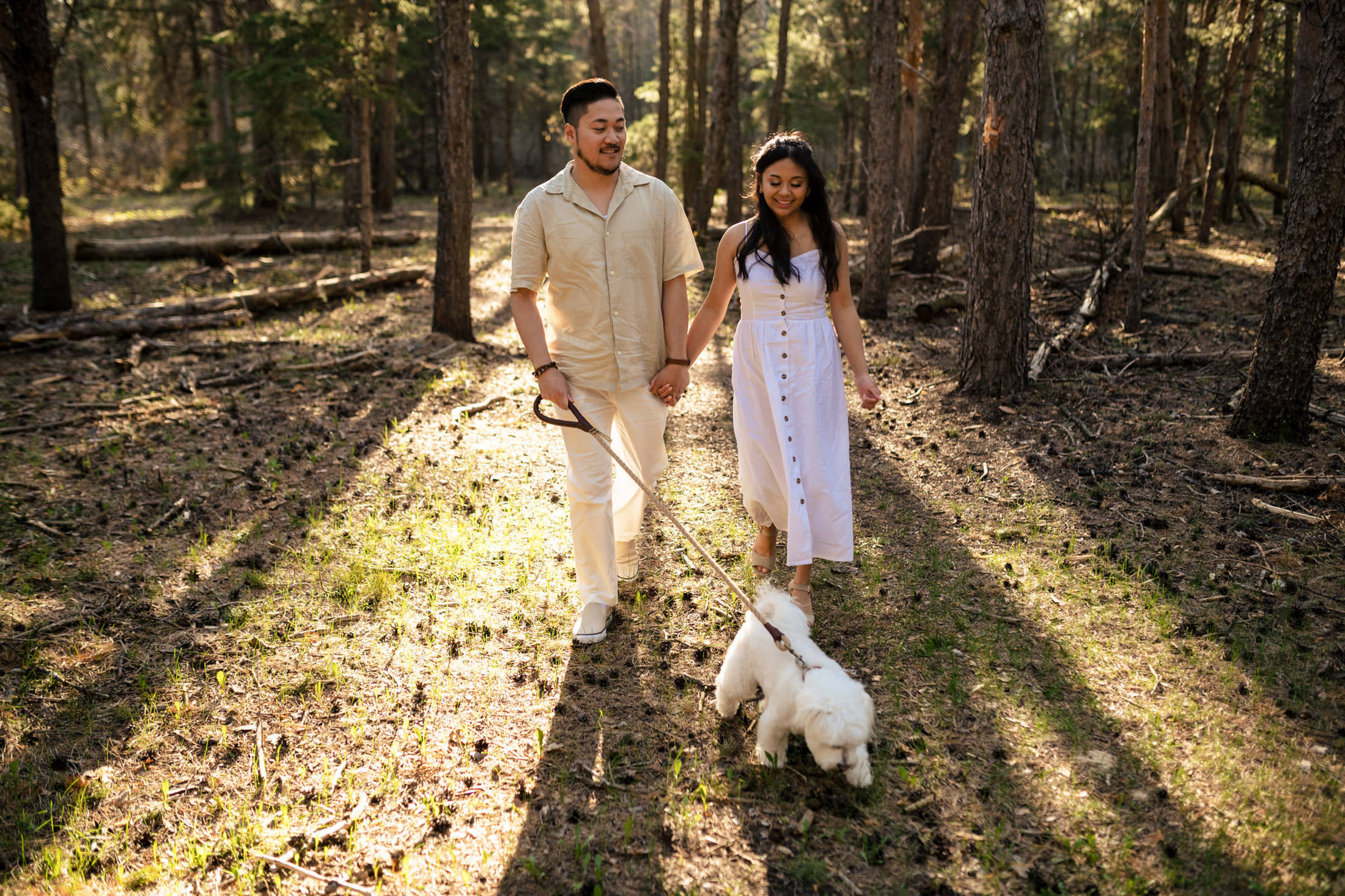 Engaged couple walking a small white dog in a sunlit forest.