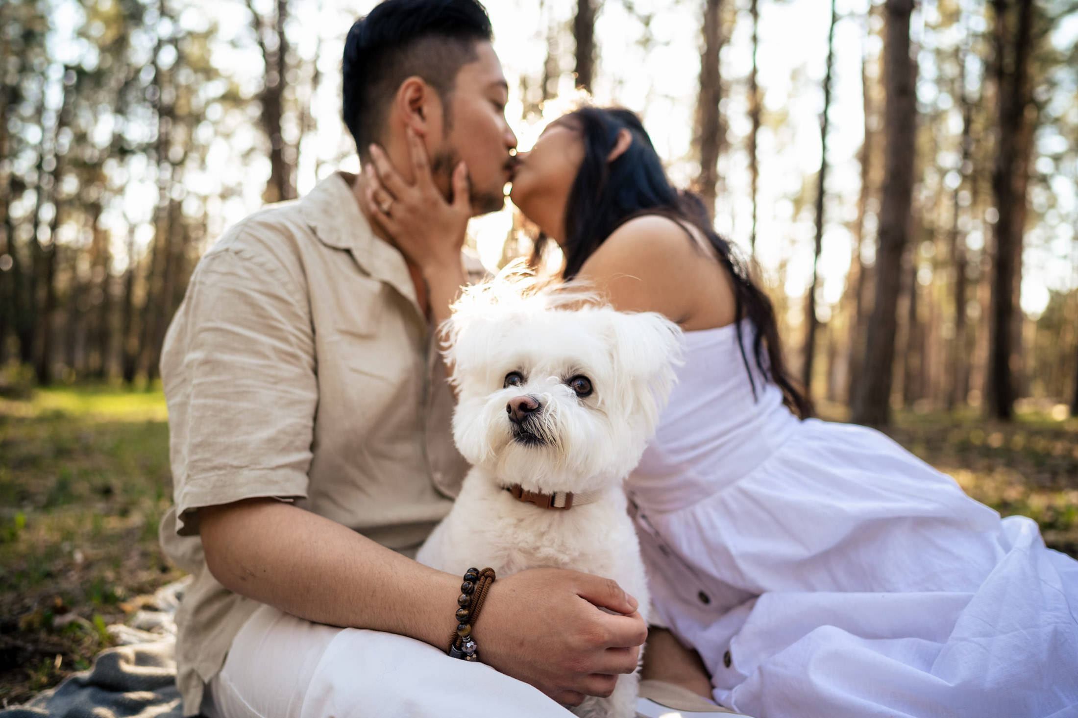 Engagement with your dog. Engaged couple kissing in a forest with their fluffy white dog sitting in front.