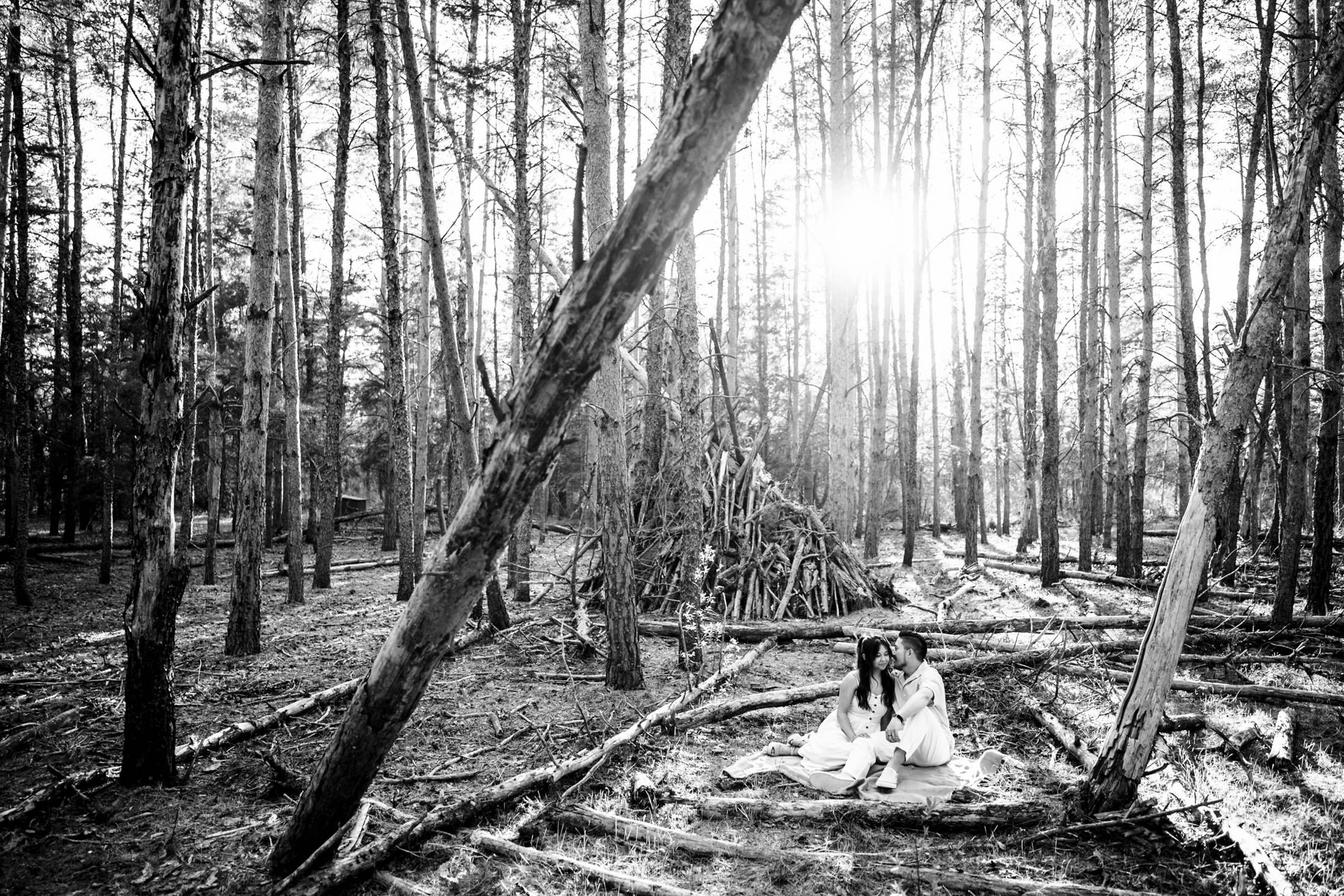 Two people, with their dog, sit in a forest clearing as sunlight filters through the tall trees.