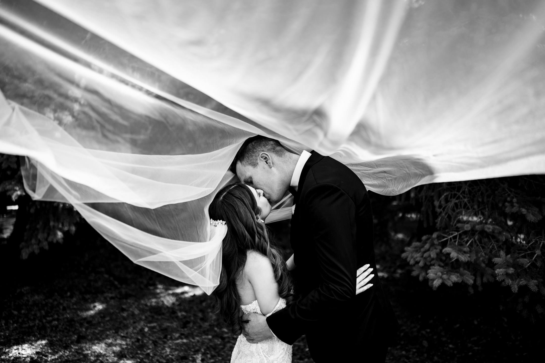 Bride and groom kissing at Ashgrove Acres, under flowing veil, black and white photo.