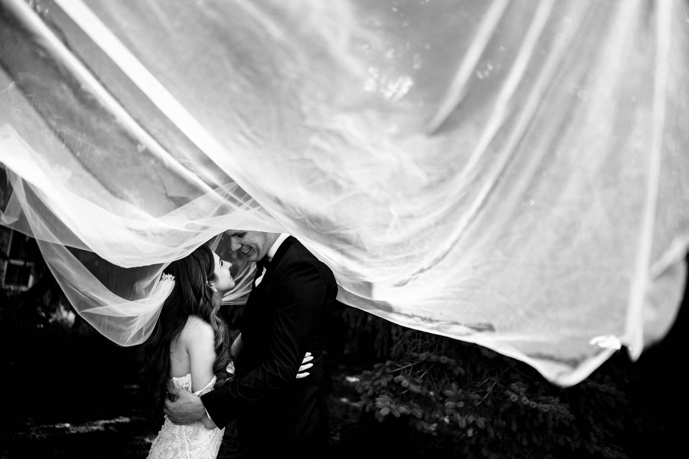 Bride and groom embrace at Ashgrove Acres under a flowing veil in black and white.