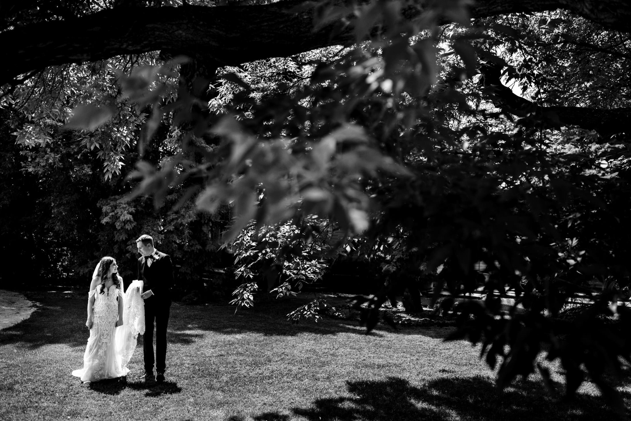 Bride and groom at Ashgrove Acres, reading vows under a sunlit tree in a grassy area.