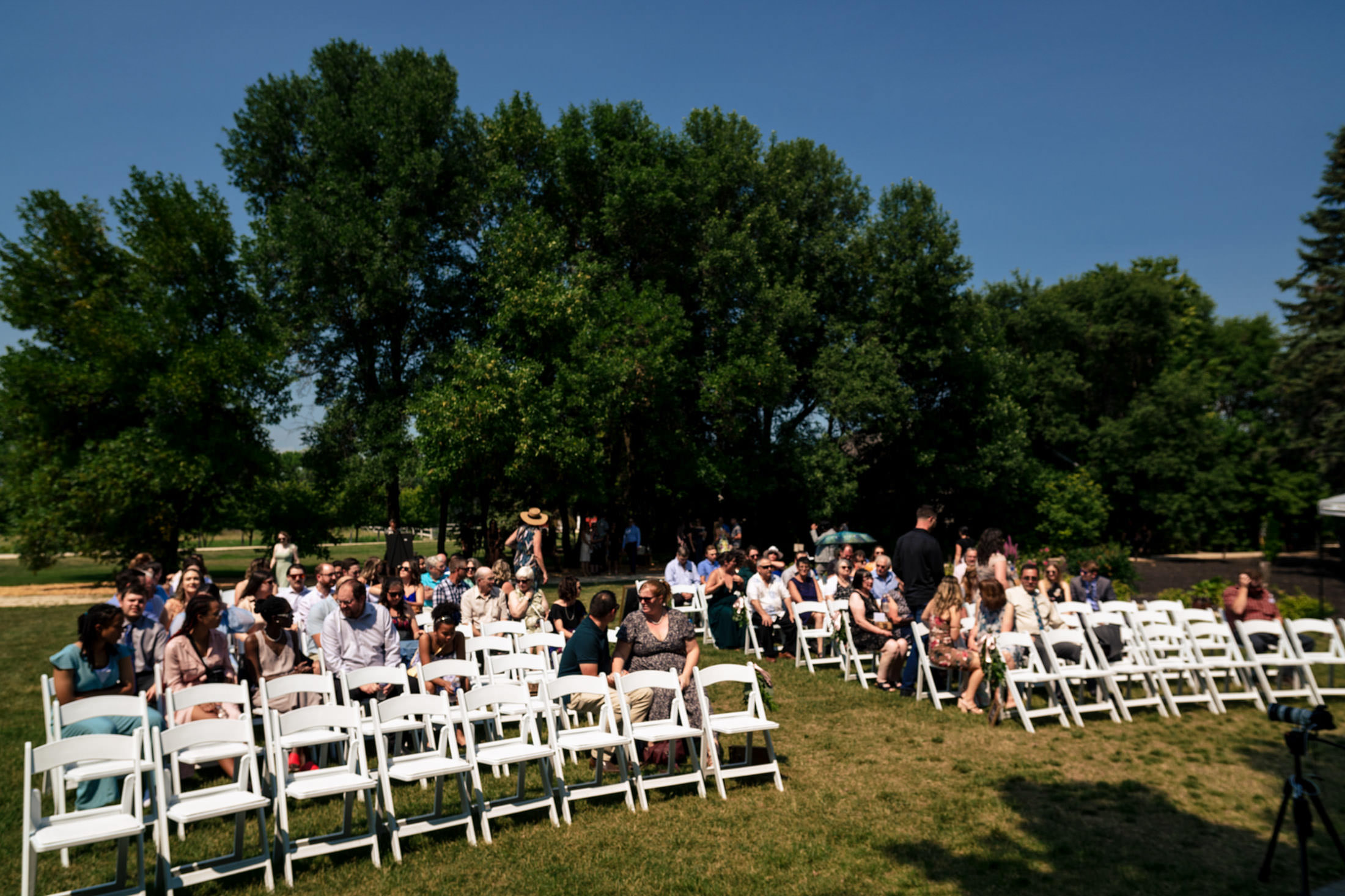 People seated on white chairs at an Ashgrove Acres wedding, trees and clear blue sky above.