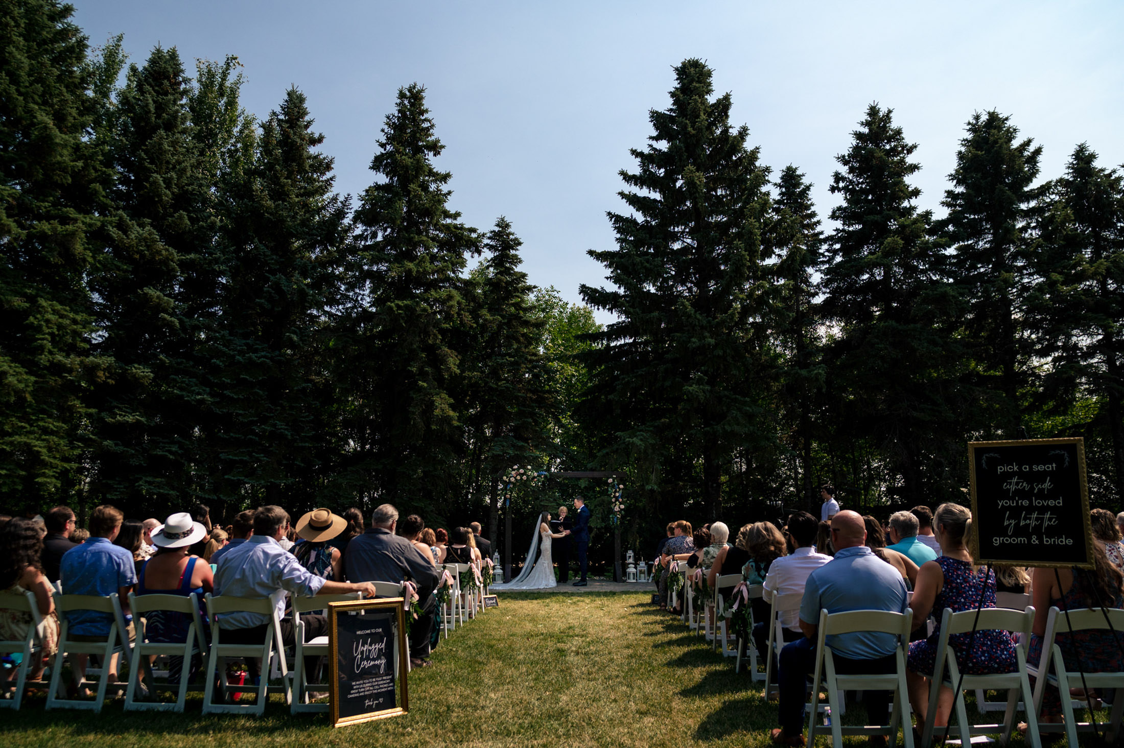 Ashgrove Acres wedding under tall trees, guests seated on either side for the ceremony.