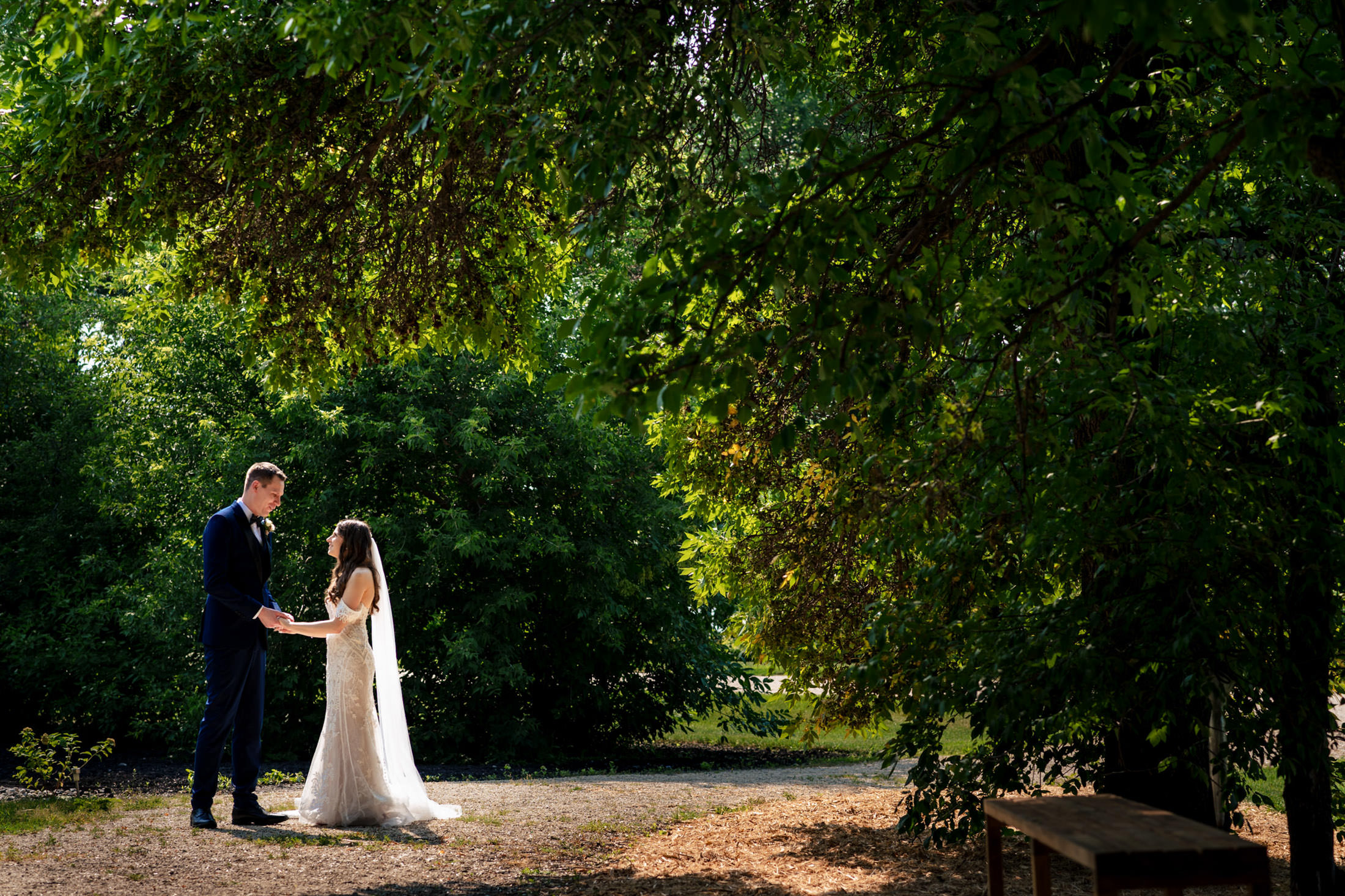 Bride and groom at Ashgrove Acres, holding hands under lush green trees in a sunlit garden.