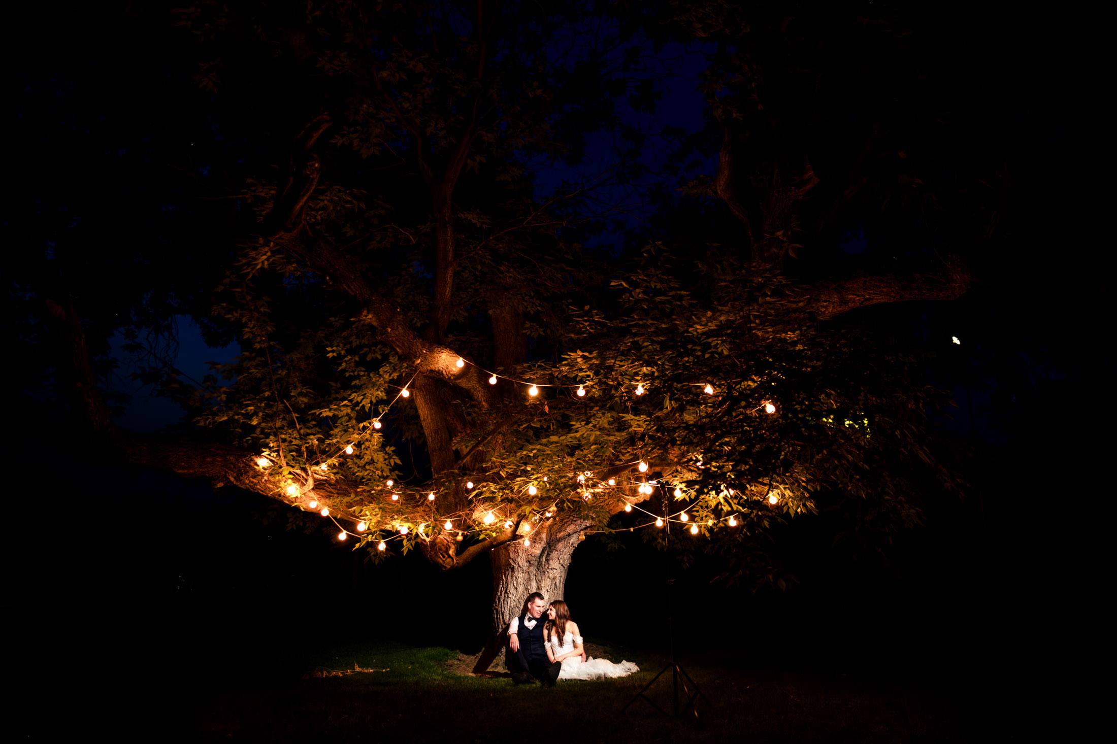 Couple seated under a tree with string lights at Ashgrove Acres Wedding night.
