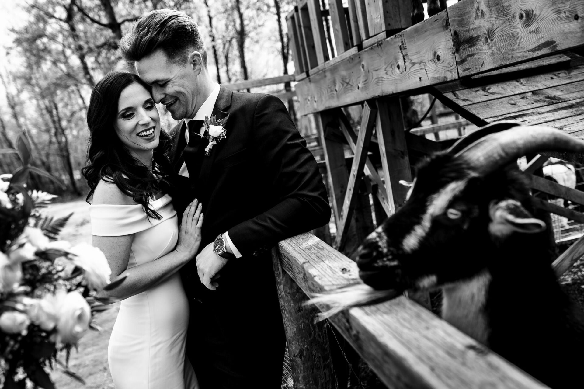 Best Winnipeg wedding photos: Bride and groom smile by a wooden fence with a nearby goat.