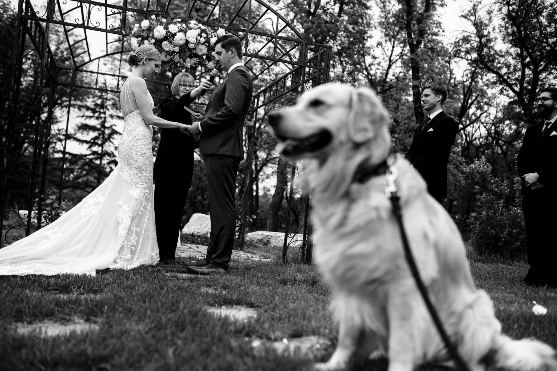 Best Winnipeg Wedding Photos capture a black-and-white scene with a dog in the foreground.
