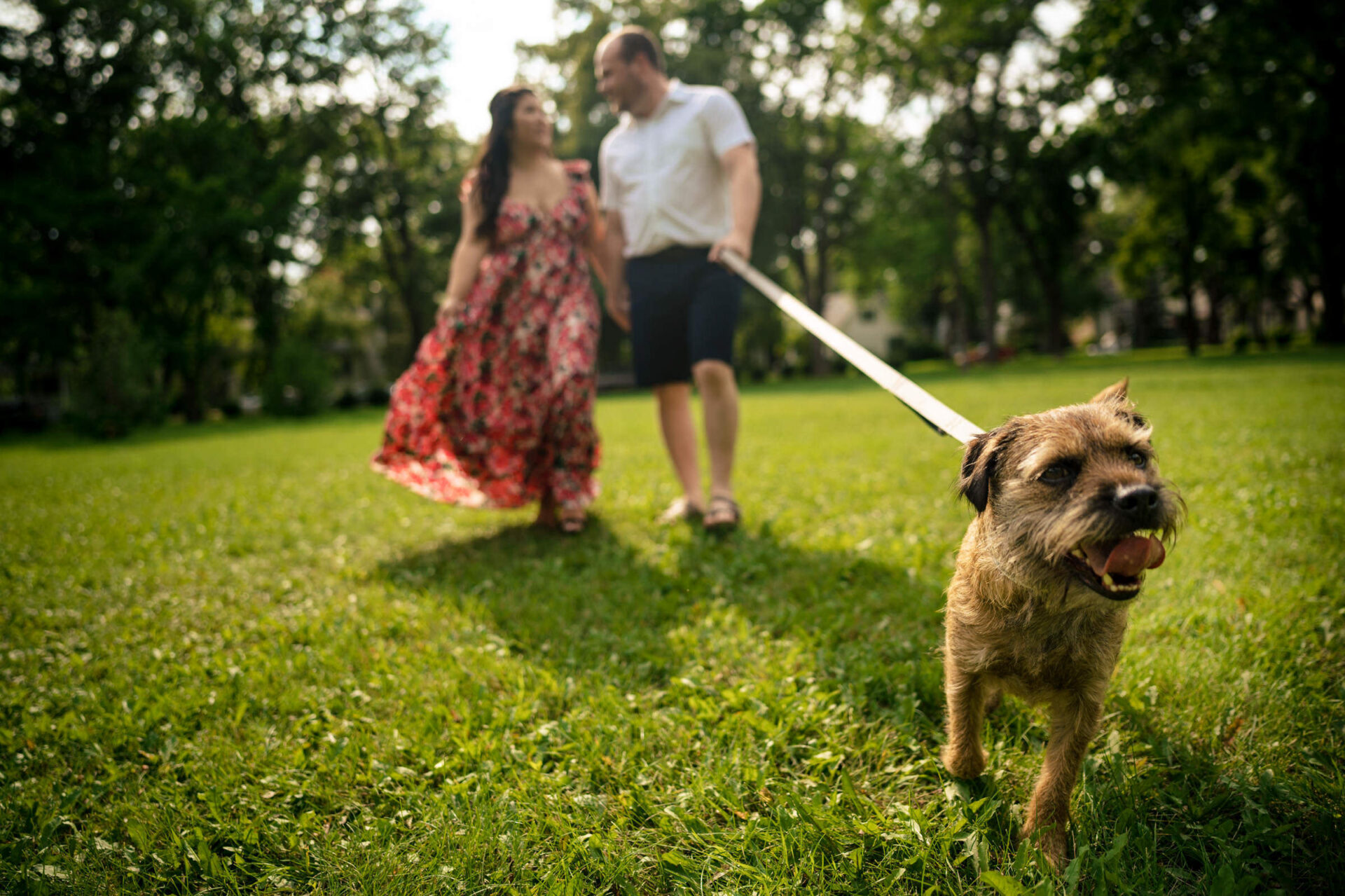 A couple enjoys a sunny park walk, dreaming of the best Winnipeg wedding photos.