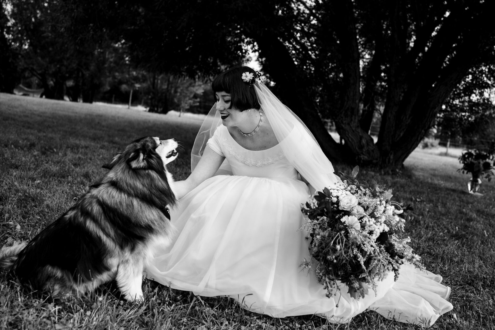 Bride in a white dress smiles at a fluffy dog, perfect for Best Winnipeg Wedding Photos.