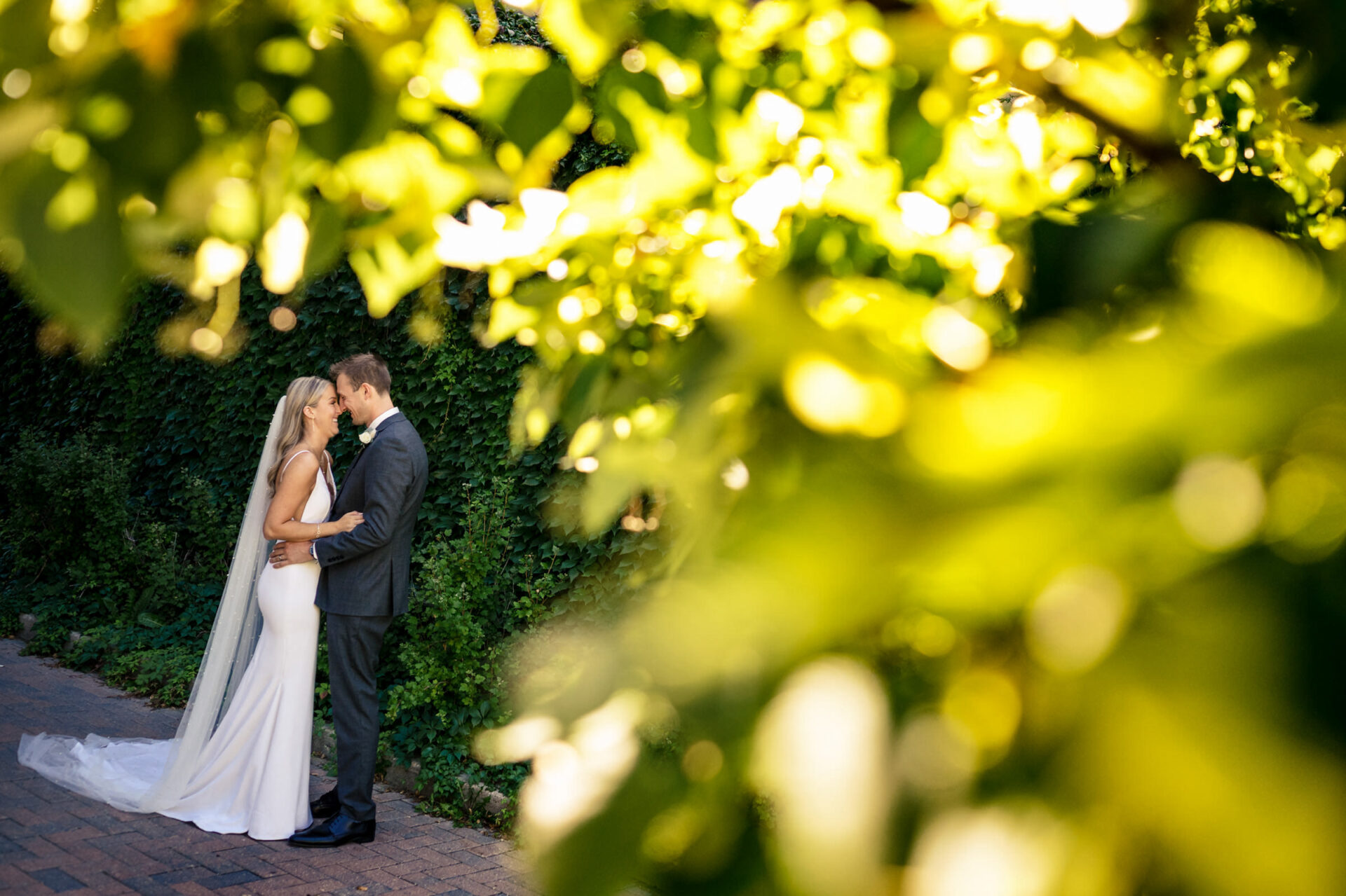 The bride and groom embrace under lush greenery in the best Winnipeg wedding photo setting.