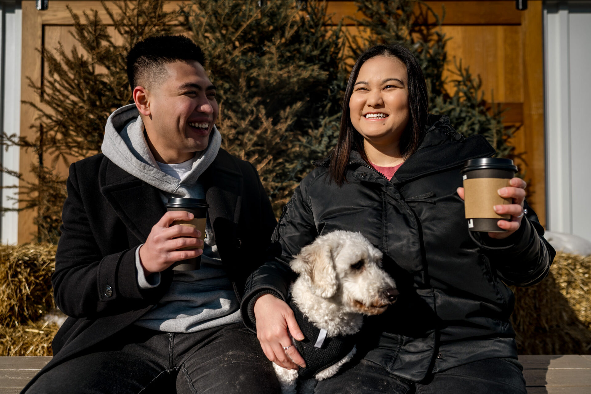 A winter engagement scene: smiling duo with coffee, a dog, amid evergreen trees.